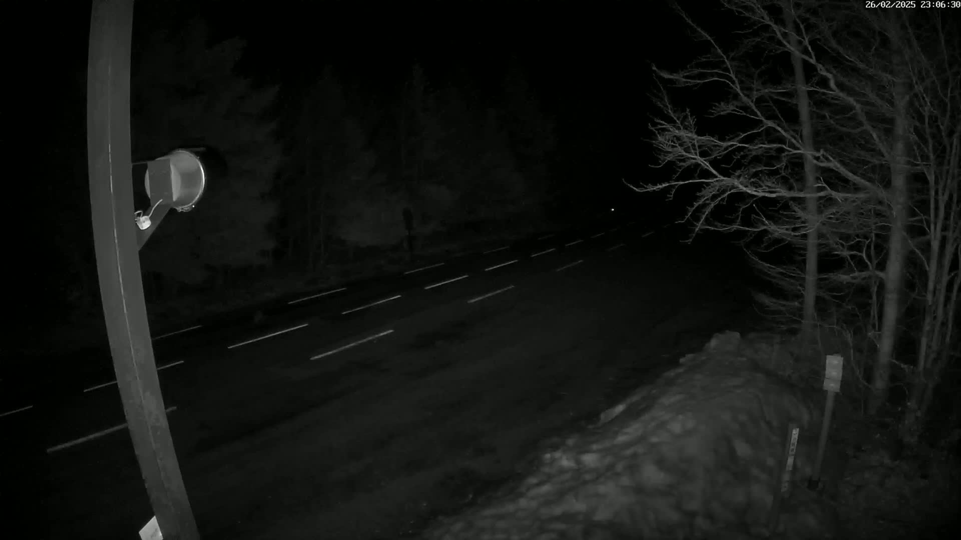 A nighttime view of a road with white lane markings, bordered by snow-covered ground and bare trees under a dark sky.
