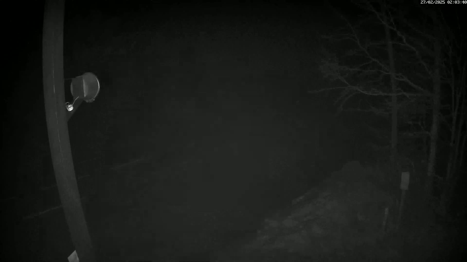 A dark, nighttime scene shows a metal post with a small light fixture attached, situated near bare trees and what appears to be a wooded area.