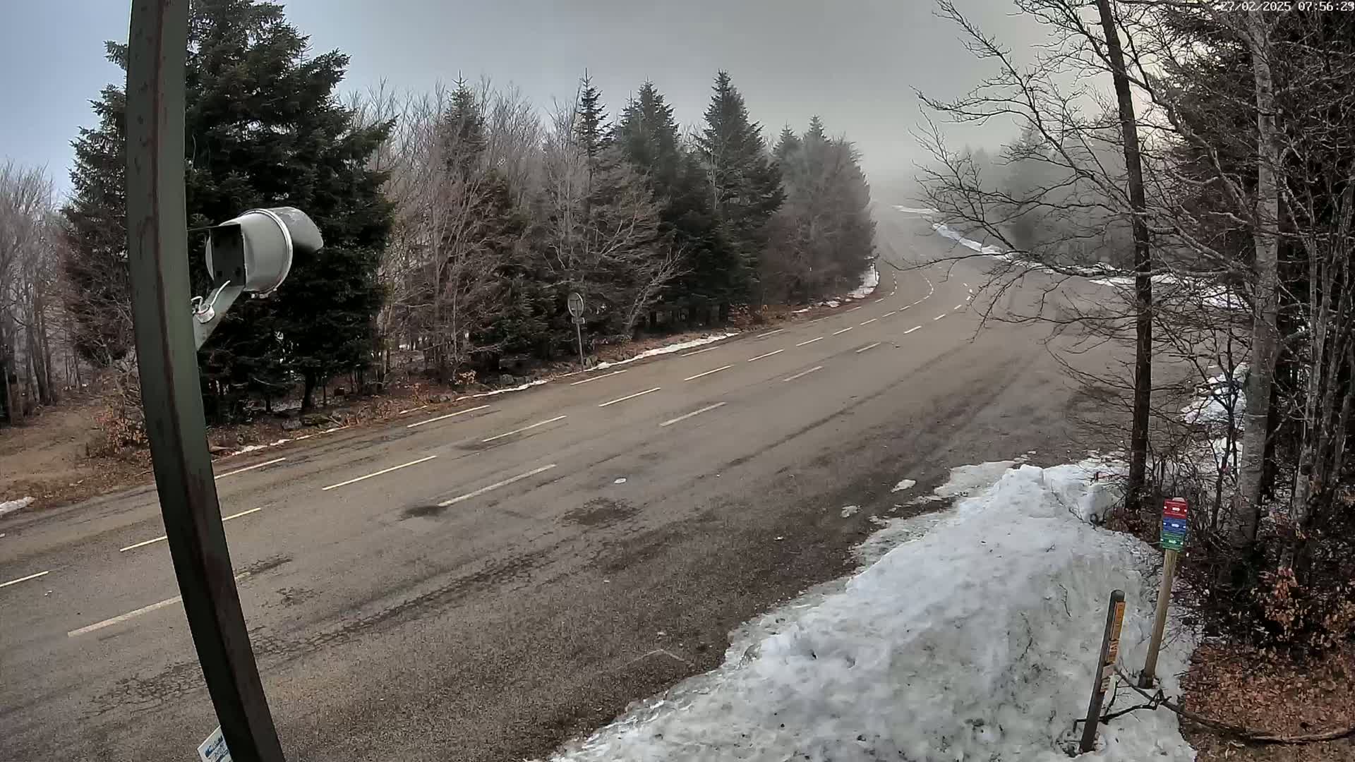 A winding road through a foggy, snow-dusted forest.
