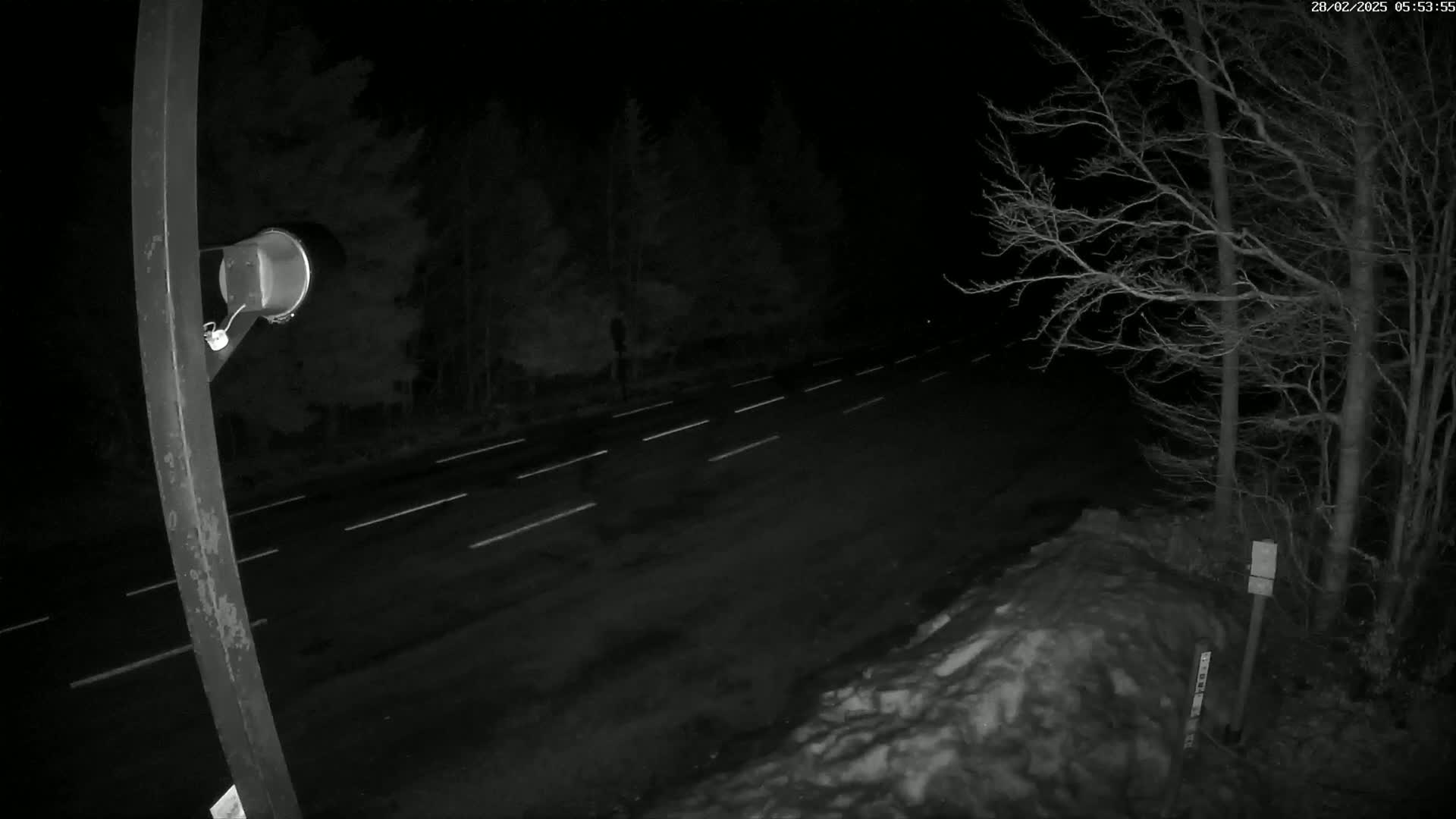 A nighttime view of a snow-covered roadside next to a dark, sparsely-treed area and a roadway with white lane markings.