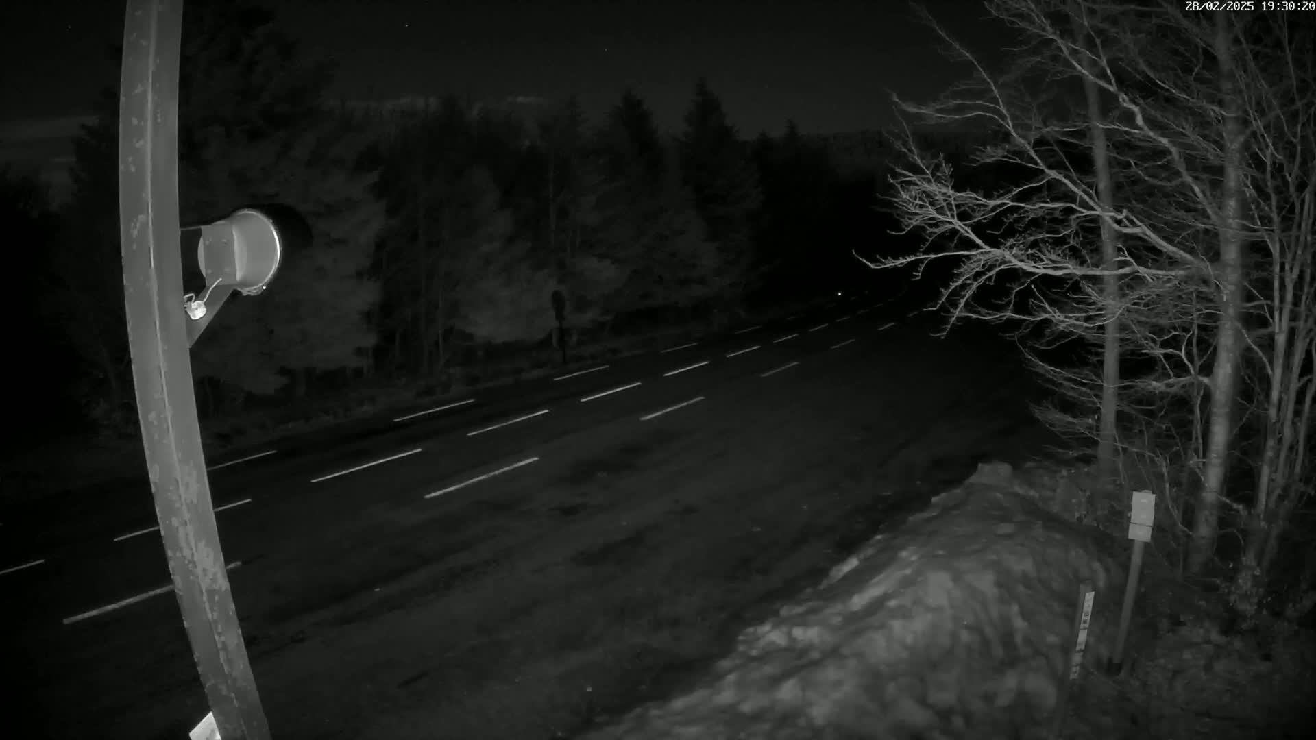 A nighttime view of a dark road with white lane markings, bordered by leafless trees and a snowdrift, under a clear, starry sky.