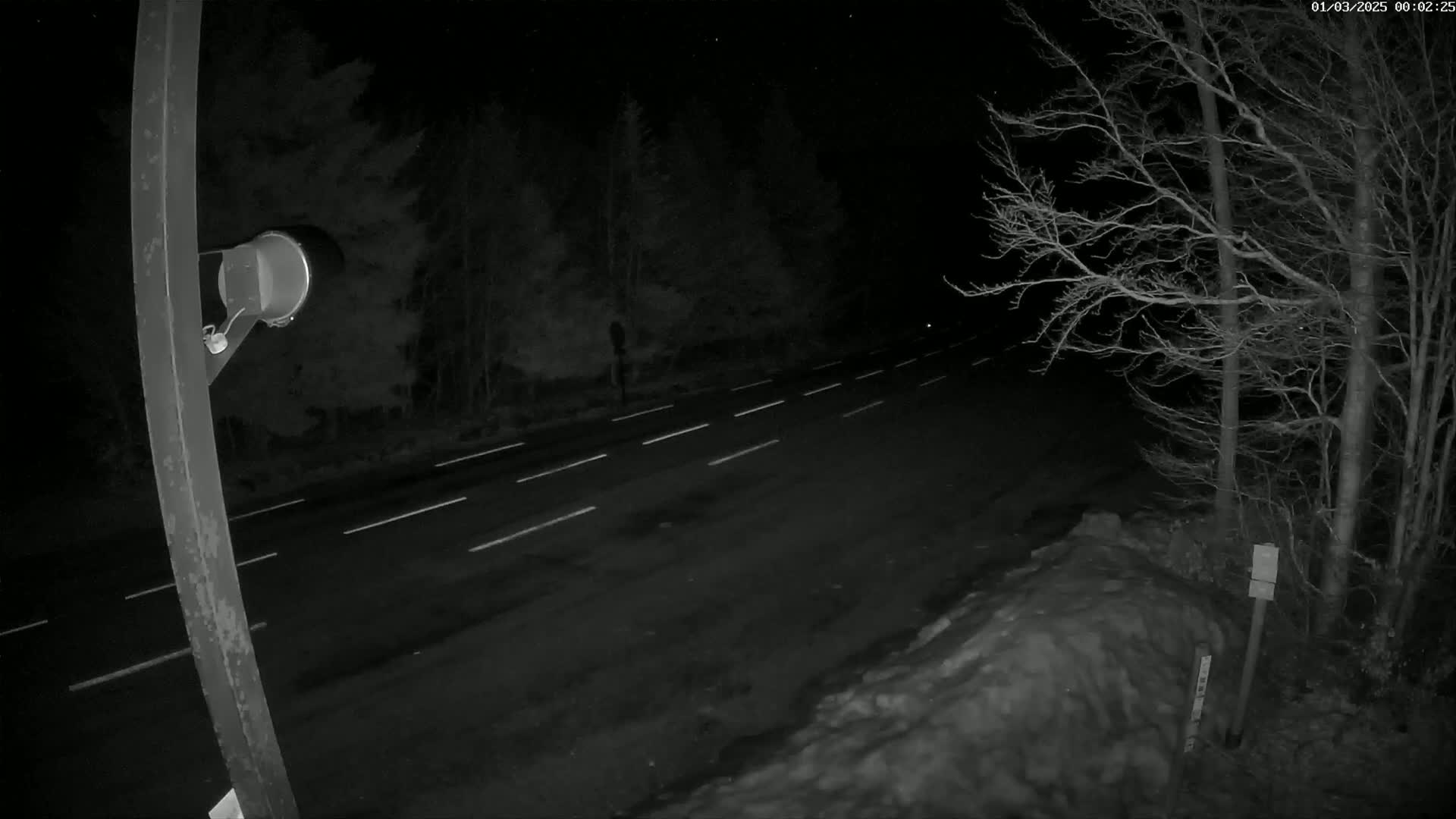 A nighttime view of a dark, snow-dusted road with a few headlights visible in the distance, bordered by leafless trees under a clear, starlit sky.