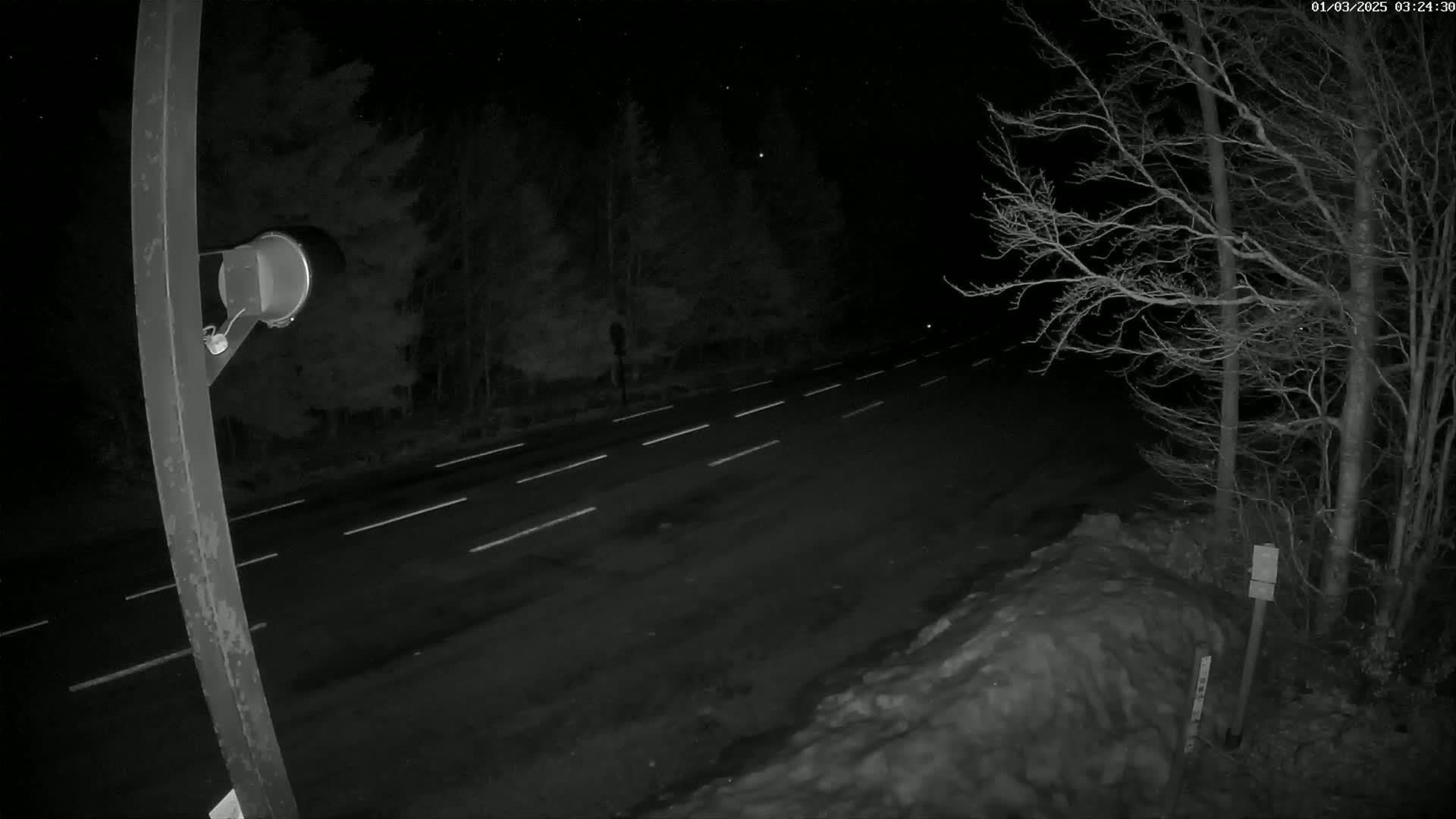 A nighttime view of a road with white lane markings, bordered by snow and leafless trees under a clear, starry sky.
