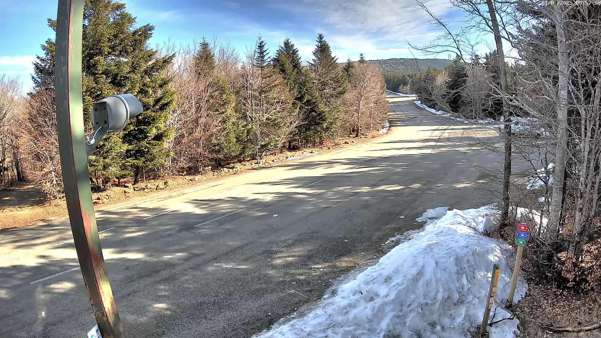A mostly sunny day with some snow on the ground shows a paved road curving through a sparsely wooded area.