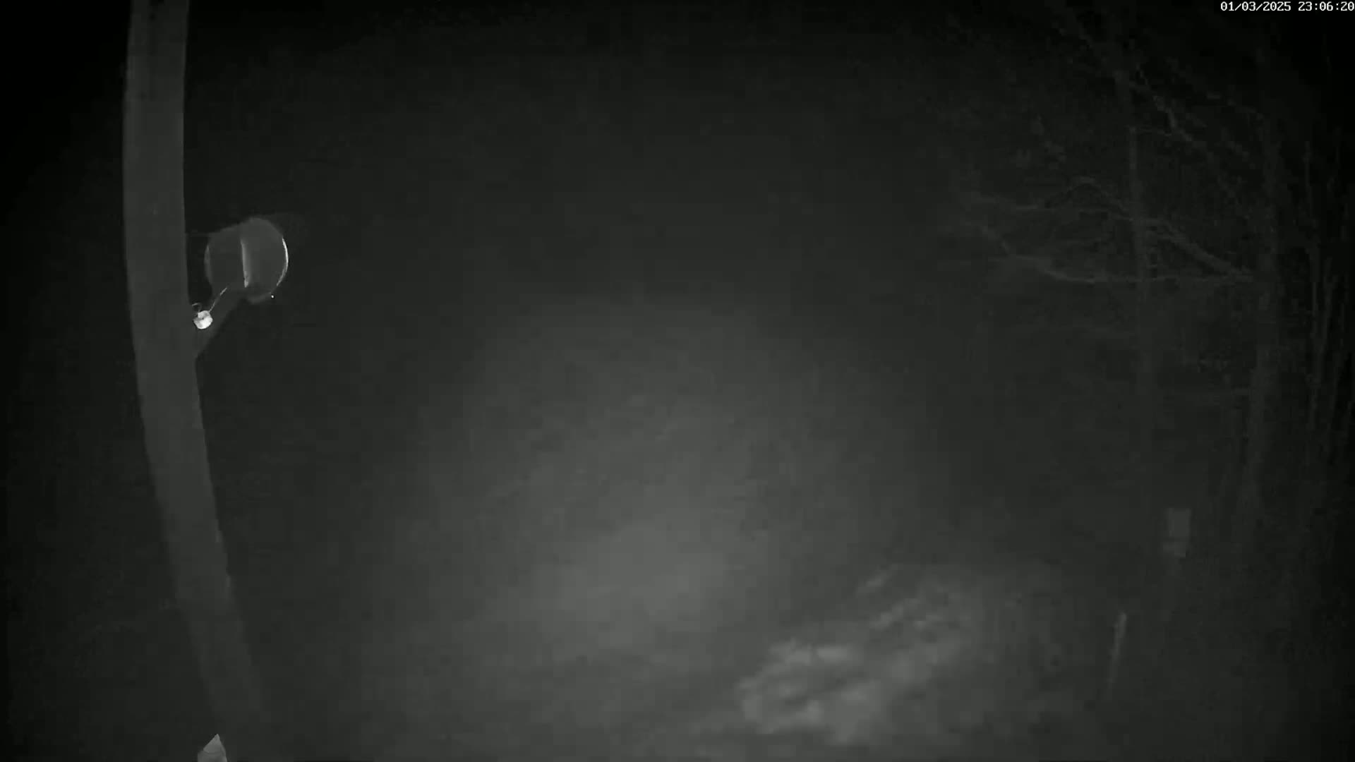 A nighttime, foggy scene shows a portion of a dark pole with a small, round object attached to it, and some bare trees in the background.