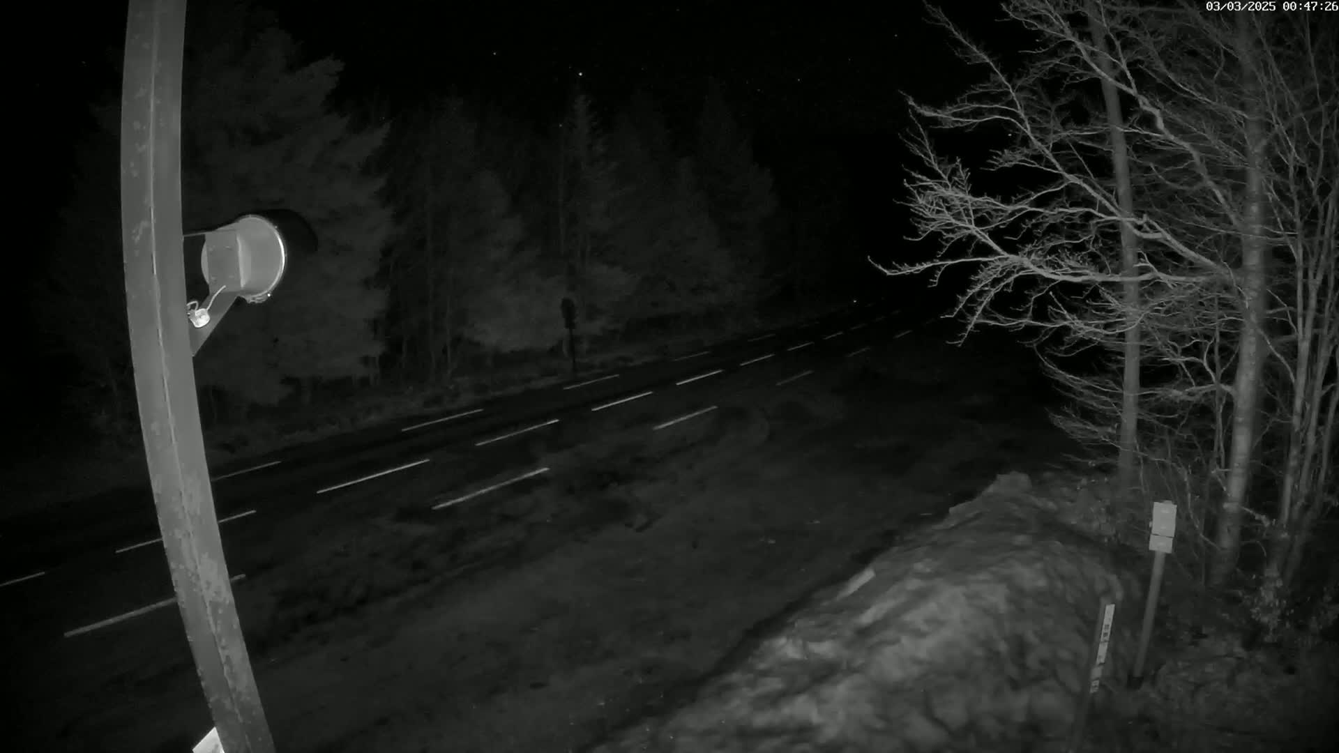A nighttime view of a dark, two-lane road bordered by snow and leafless trees under a clear, starlit sky.