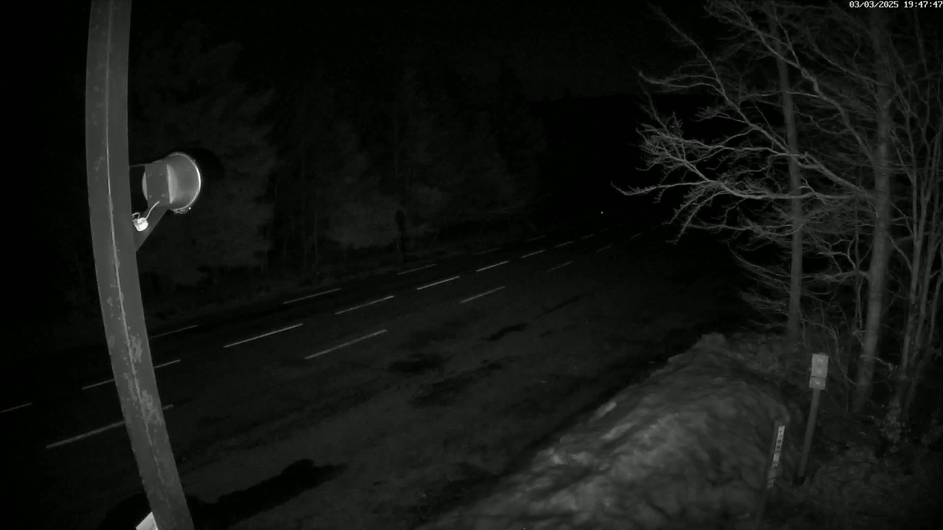 A nighttime view of a dark road with white lane markings, partially covered in snow, bordered by bare trees under a dark sky.