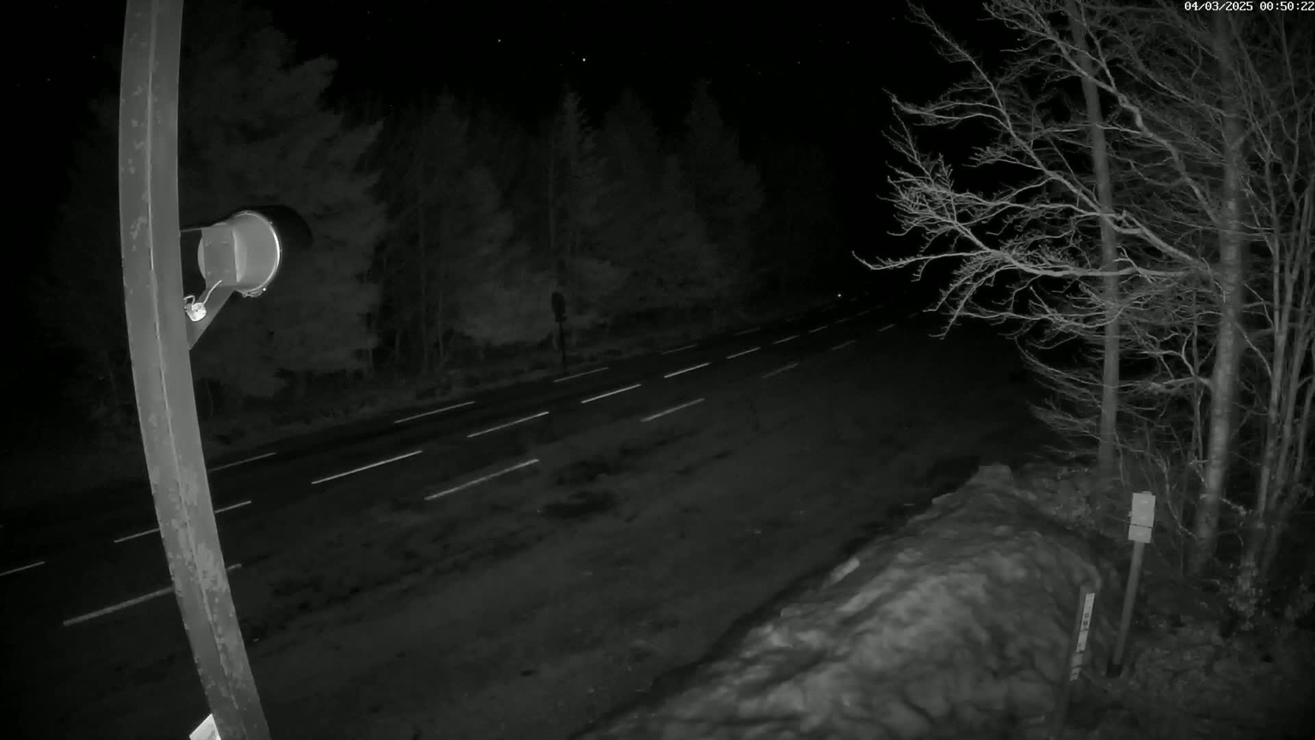 A nighttime, low-light view of a road with white lane markings, flanked by bare trees and a snowdrift, under a starry sky.