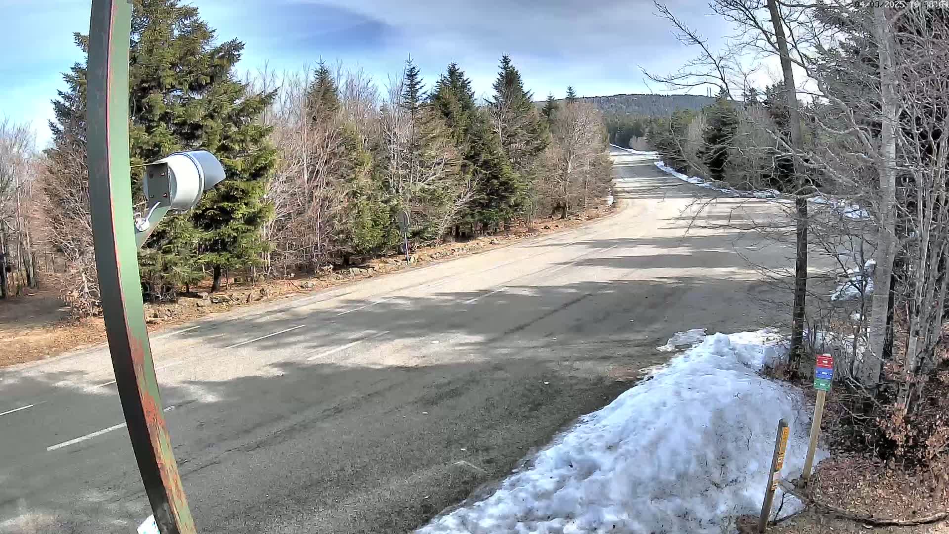 A mostly sunny day reveals a paved road winding through a sparsely wooded area with patches of snow along the roadside.