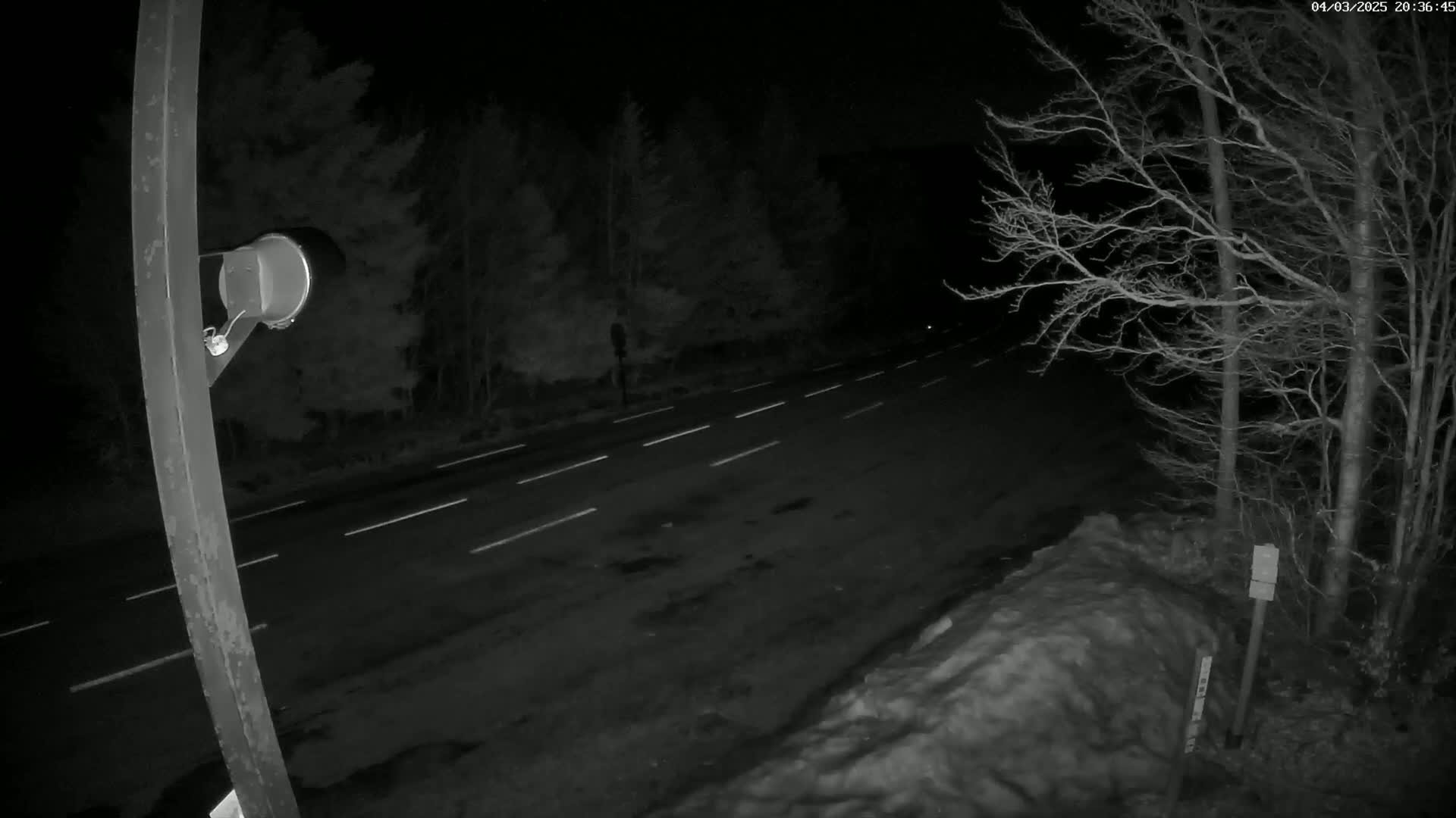 A nighttime view of a dark road with white lane markings, flanked by leafless trees and a snowdrift, under dark, clear skies.