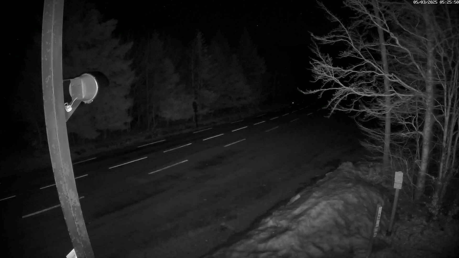 A nighttime view of a road with white lane markings, bordered by trees and a snowdrift, under a dark sky.