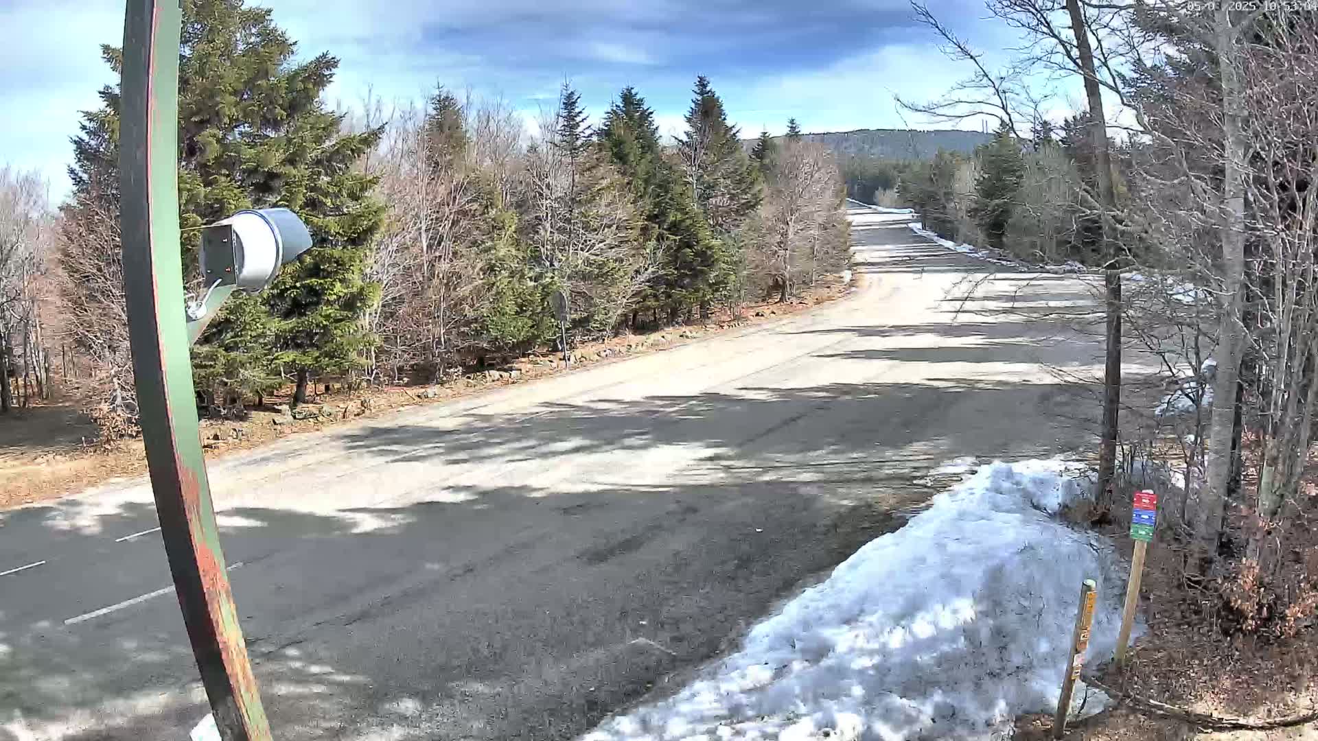A paved road winds through a forest of mostly evergreens under a partly cloudy sky, with patches of snow remaining on the ground.