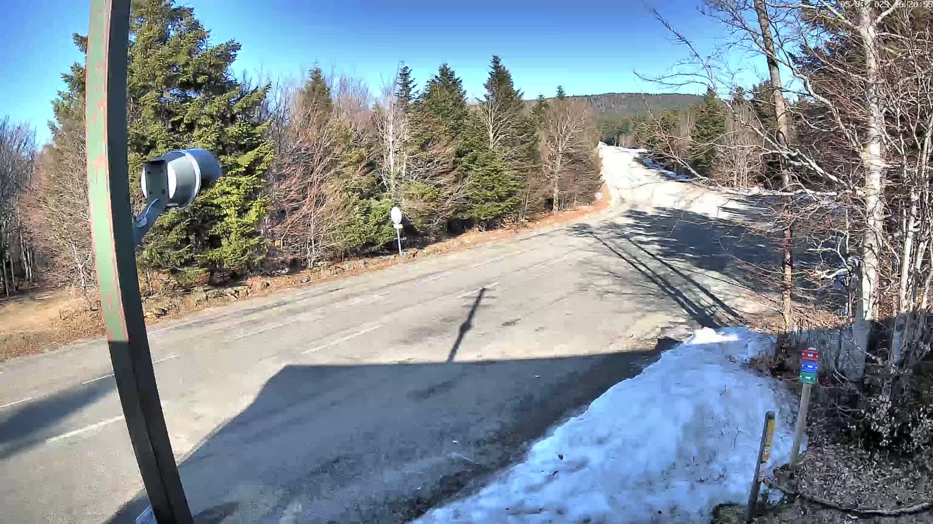 A paved road curves through a forest on a sunny day with patches of snow remaining on the ground.