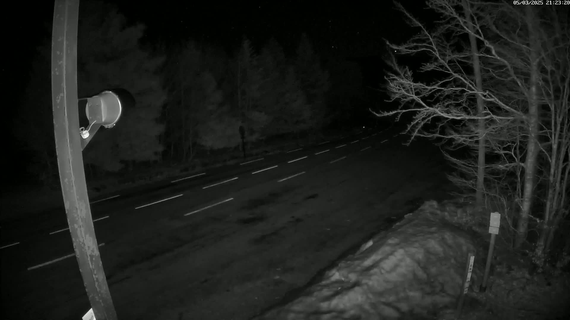 A nighttime view of a dark road with white lane markings, bordered by leafless trees and a snow bank, under a clear, starry sky.