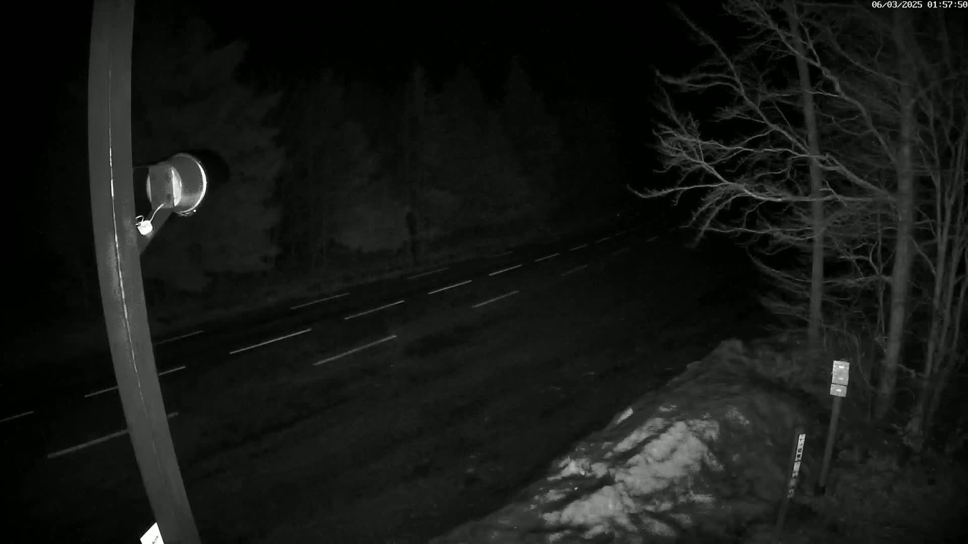 A nighttime view of a road with white lane markings, bordered by bare trees and a snow-covered embankment, is illuminated by a light affixed to a pole.