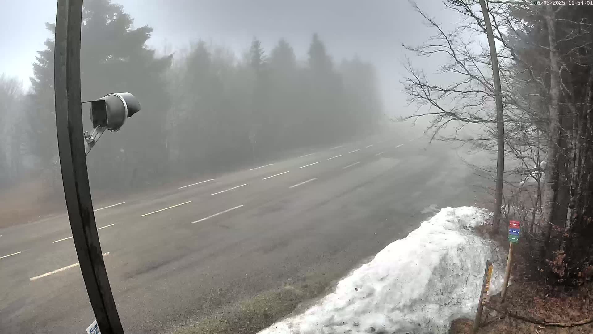 A foggy road, lined with trees and a snow bank, is visible from a roadside security camera.