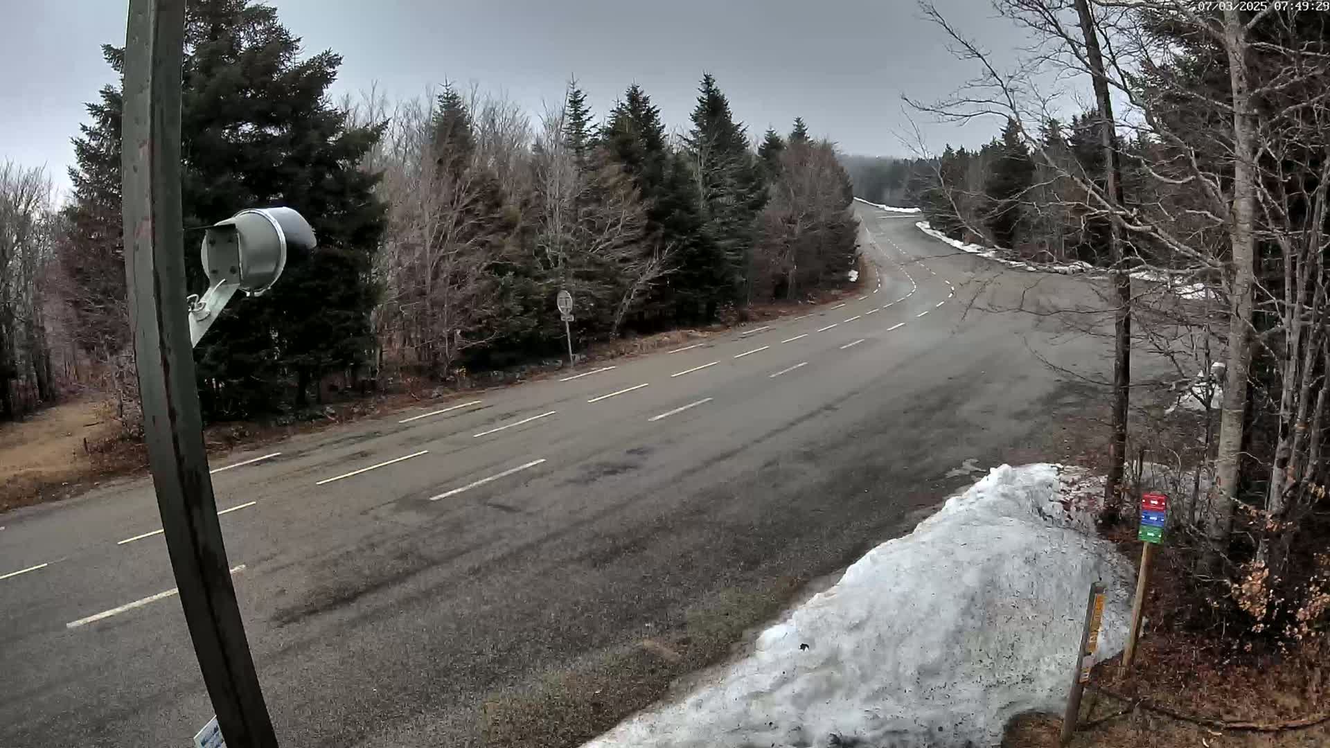A mostly empty, winding asphalt road curves through a barren, snow-dusted forest under an overcast sky.