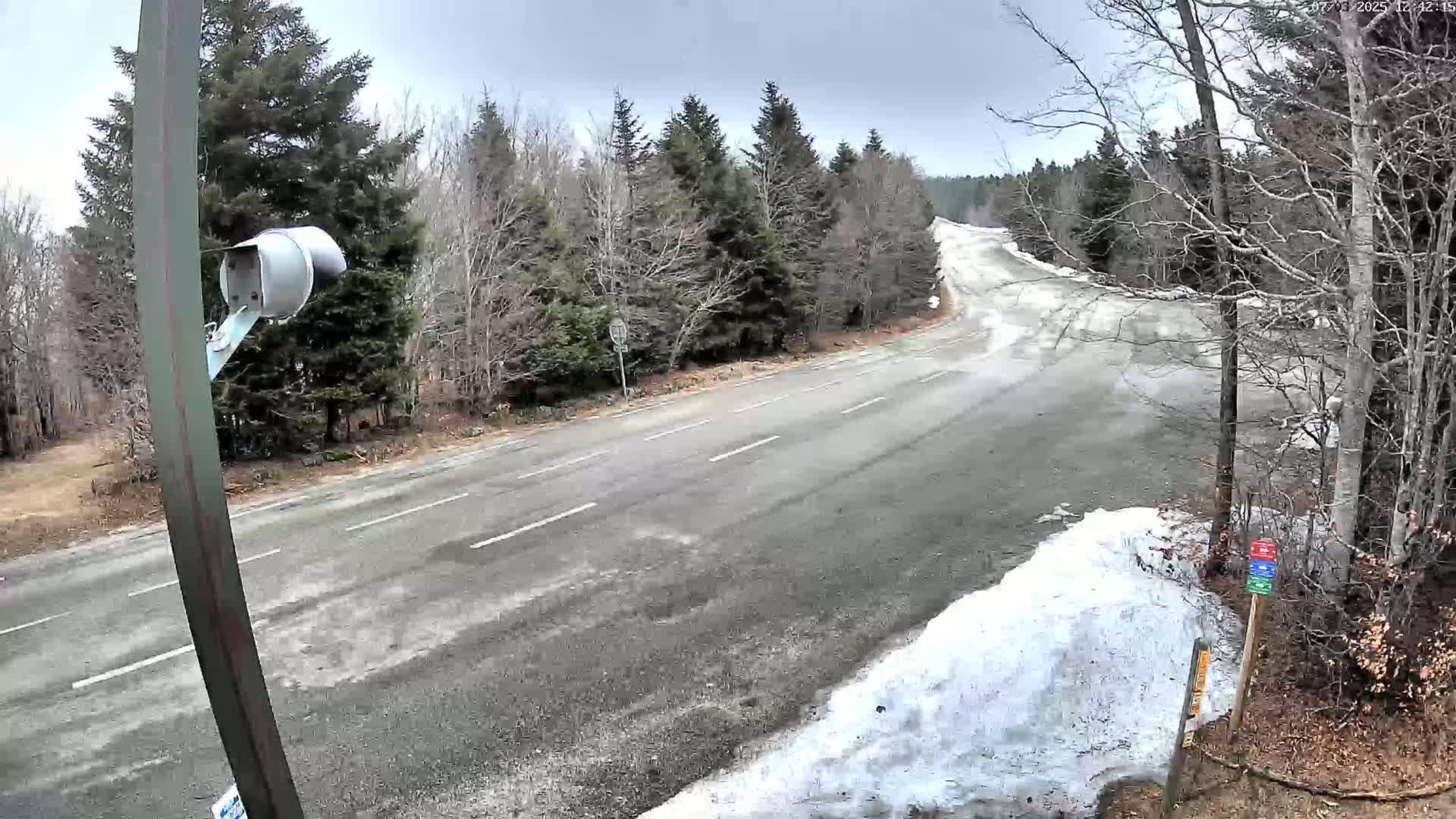 A mostly empty, paved road curves through a sparsely wooded area with some snow on the ground under an overcast sky.