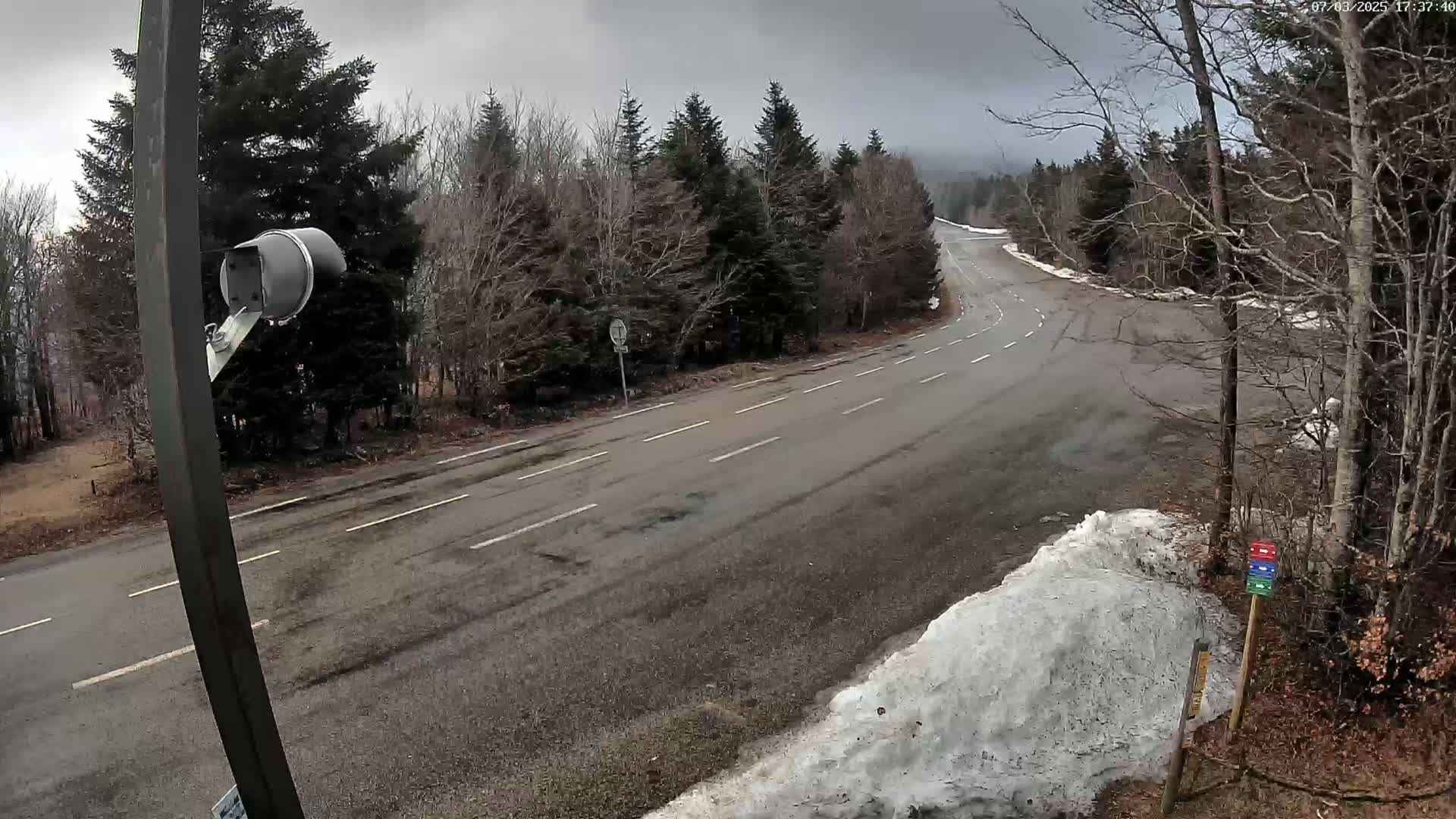 A mostly empty, winding road curves through a forest under an overcast sky, with patches of snow visible on the ground.