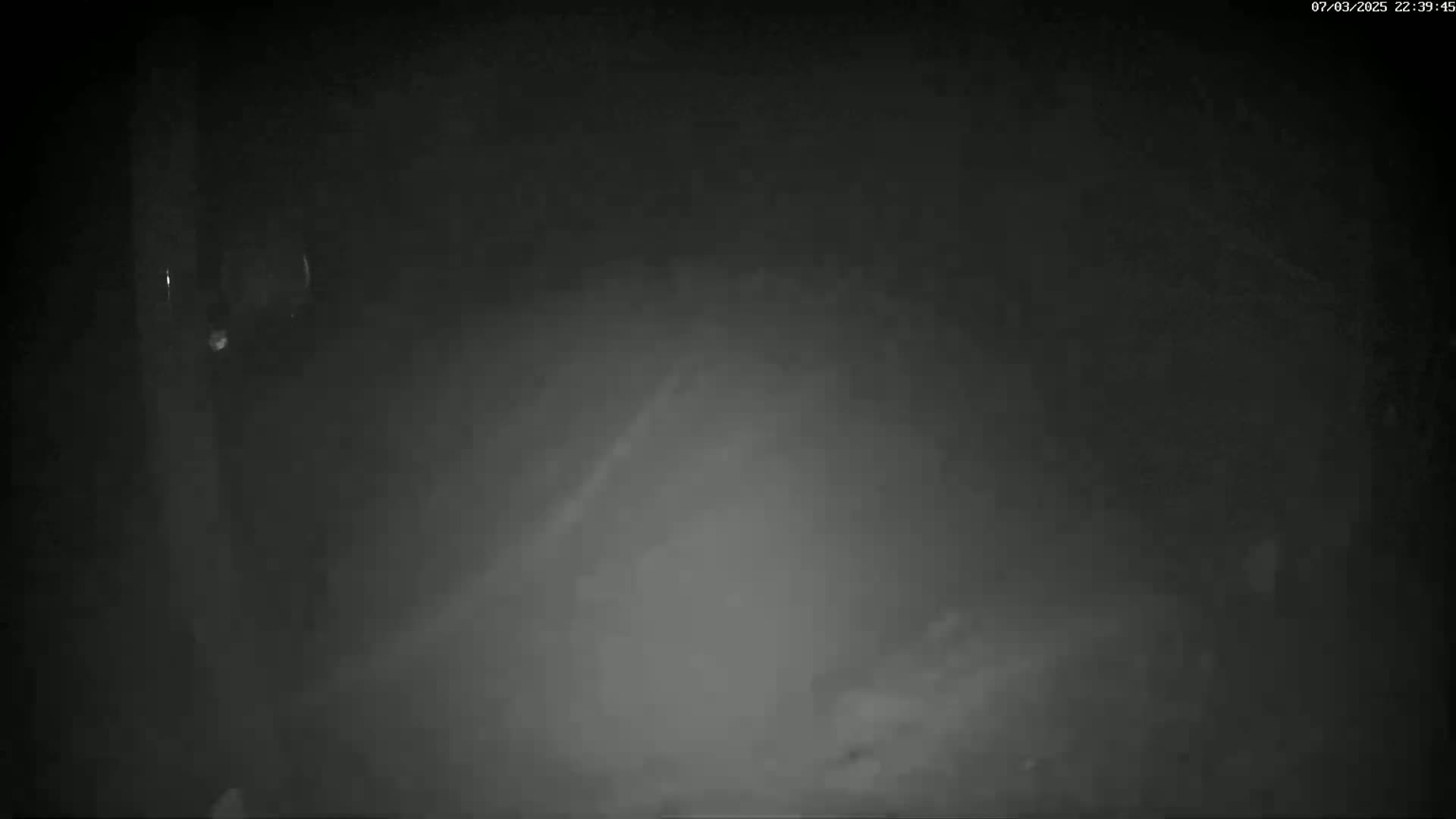 A blurry, dark nighttime scene shows a hazy or foggy area.