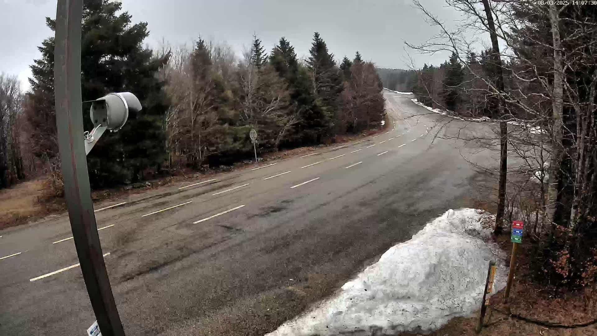 A wet, paved road curves through a forest under a cloudy sky, with snow accumulating on the roadside.