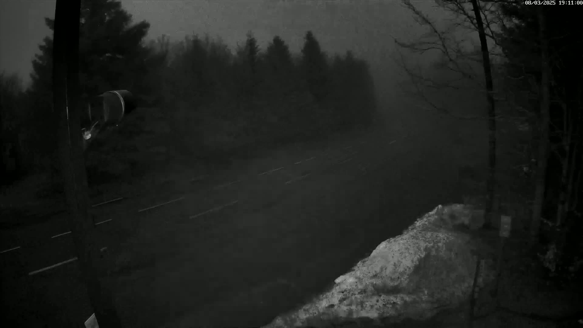 A foggy night scene shows a road flanked by trees and a snowdrift in the lower right corner, viewed from a camera mounted on a post.