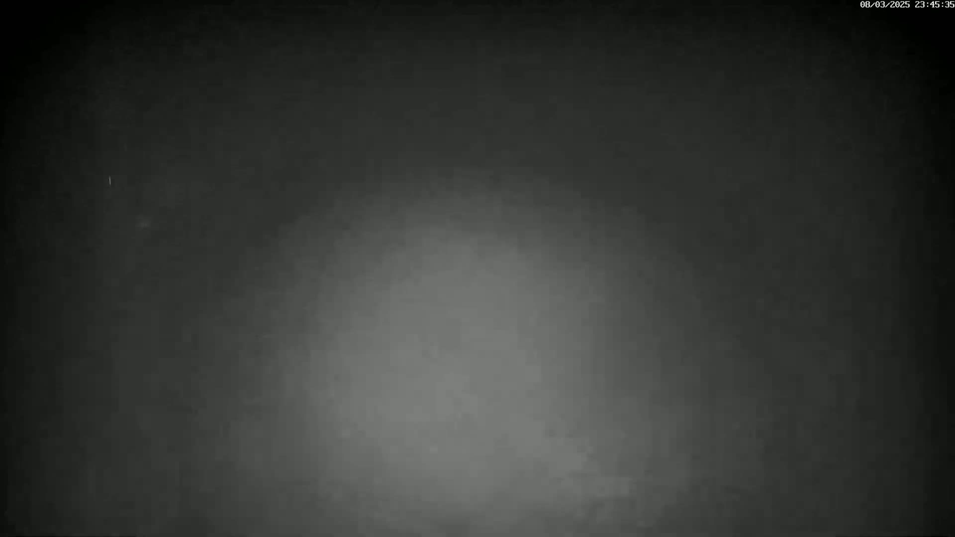 A dark, blurry image shows a mostly uniform gray background with a lighter, hazy center.