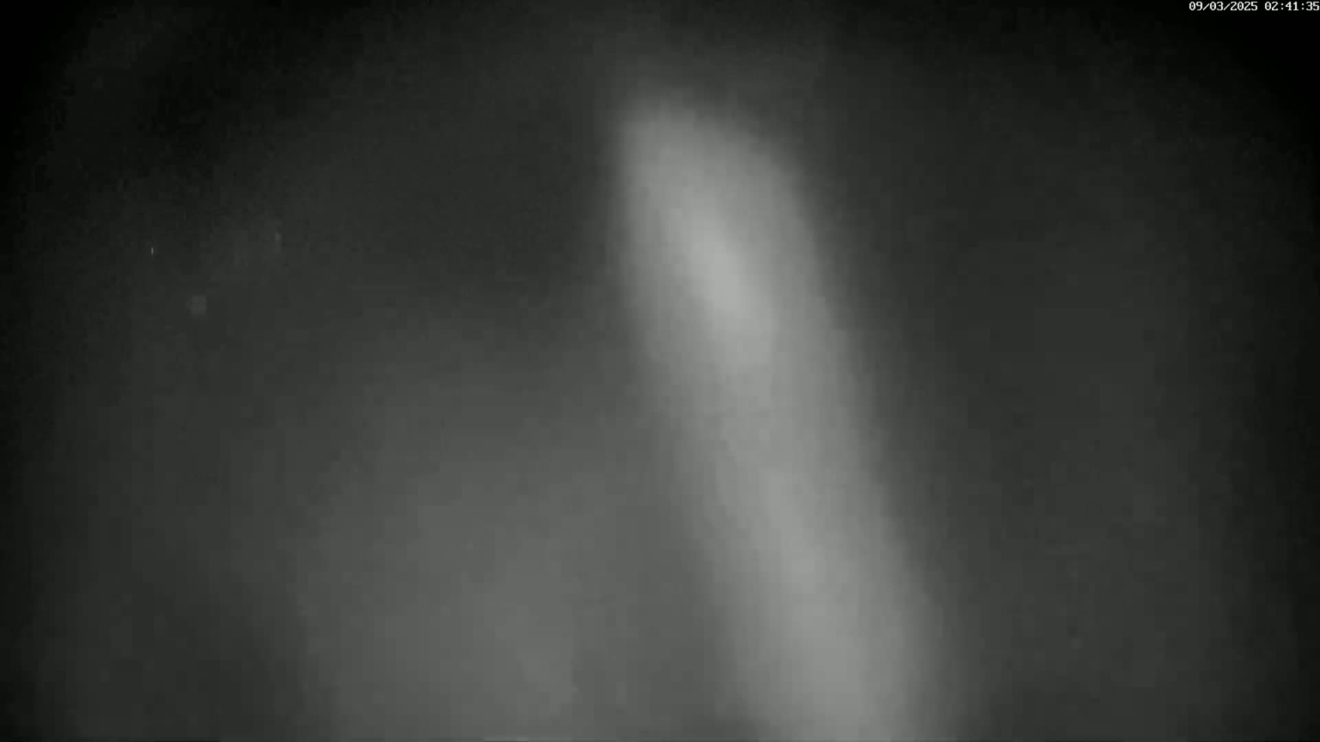 A bright, vertical light source is visible against a dark, blurry background.