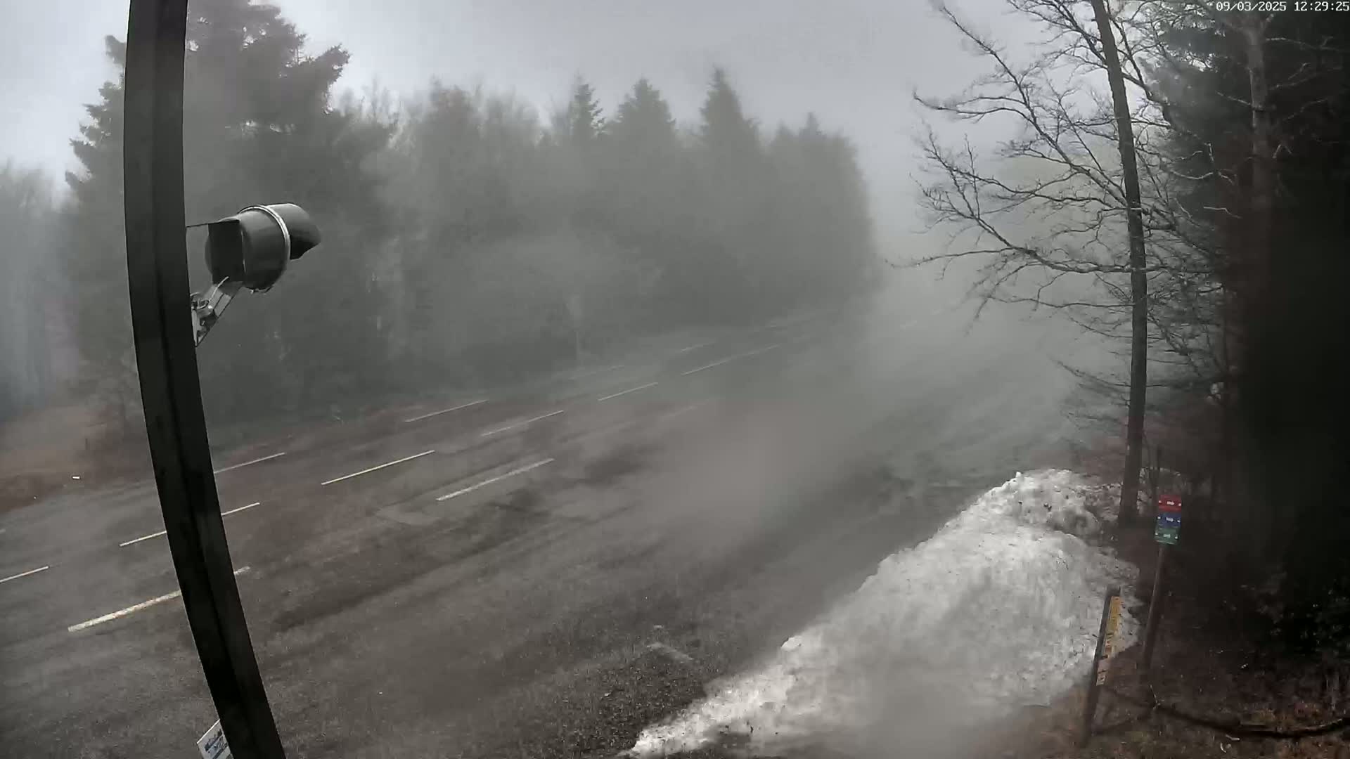 A fog-shrouded two-lane road winds through a wooded area, with a pile of snow visible on the roadside.