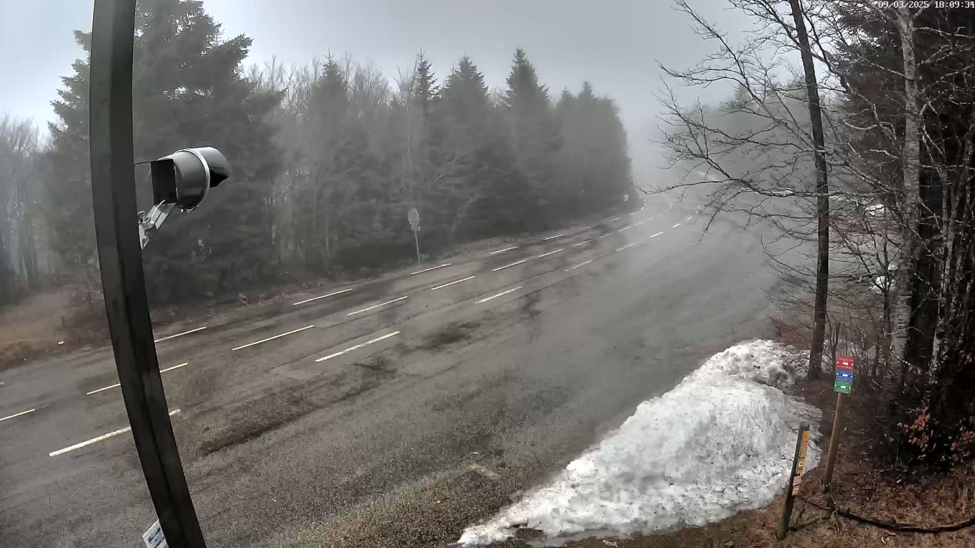 A foggy, overcast day reveals a mostly empty two-lane road curving through a wooded area with a snowdrift at the roadside.