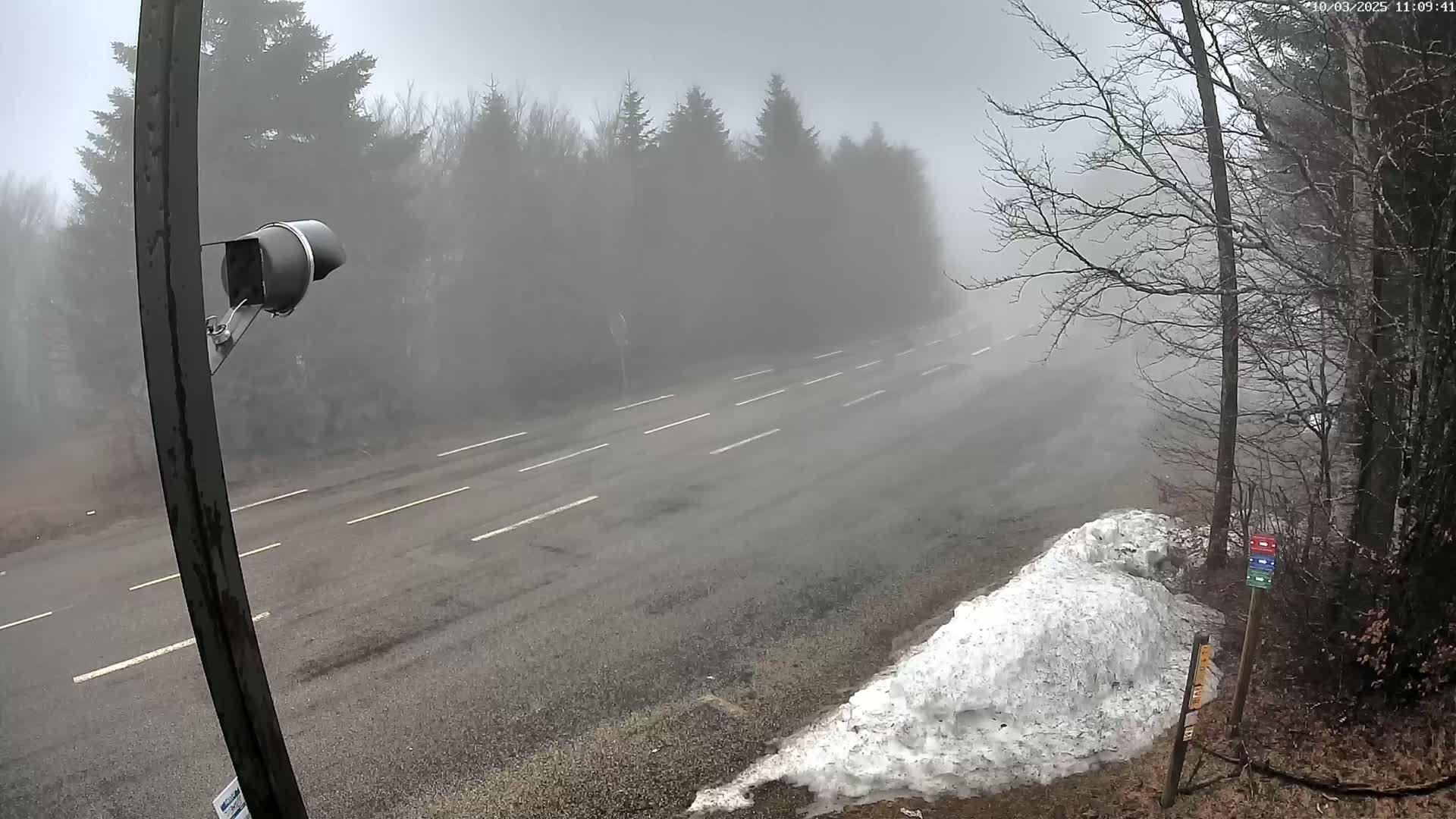 A foggy, overcast day shows a road with white lane markers, bordered by snow and leafless trees.
