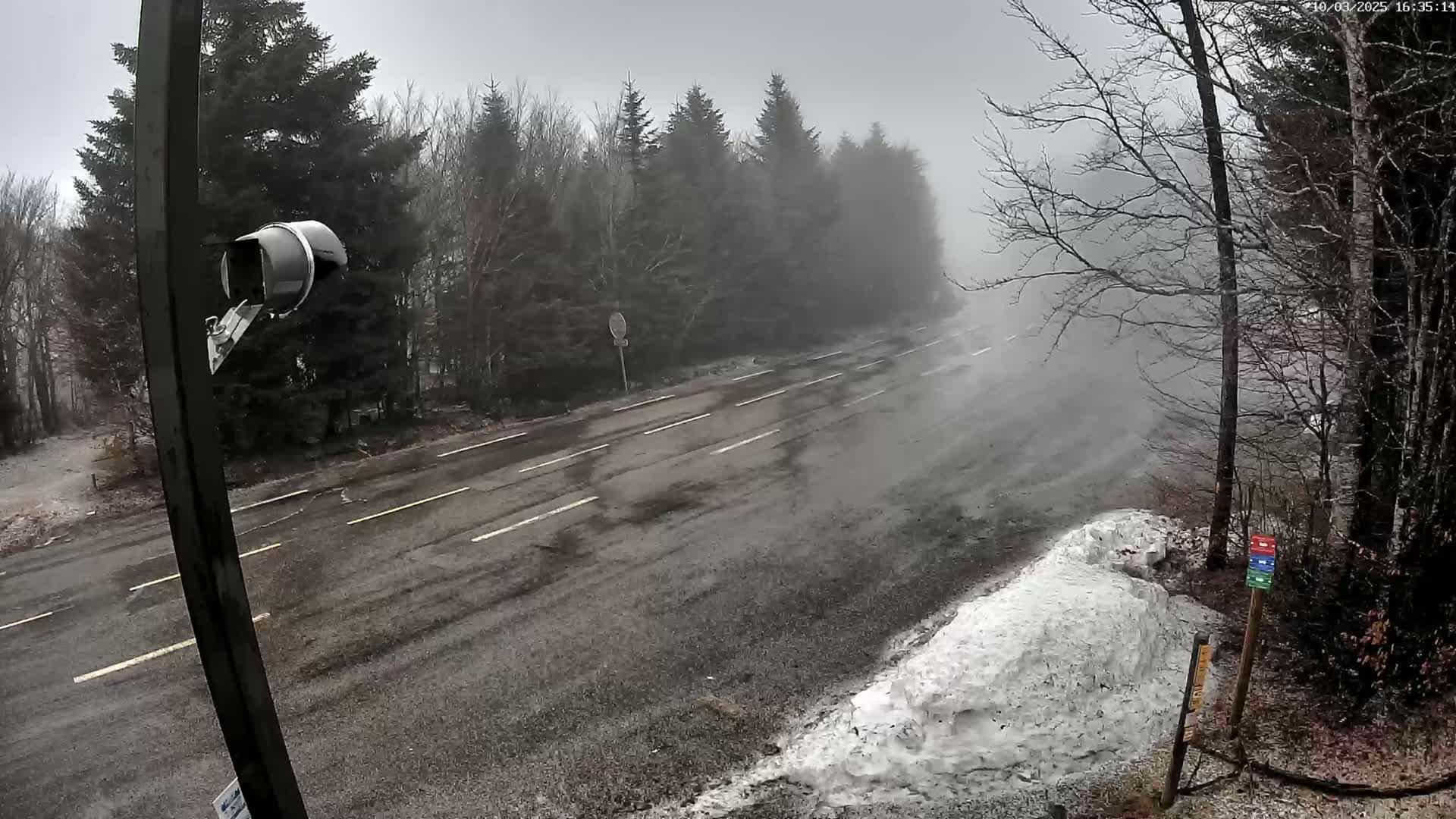 A wet, foggy road winds through a snow-dusted forest.
