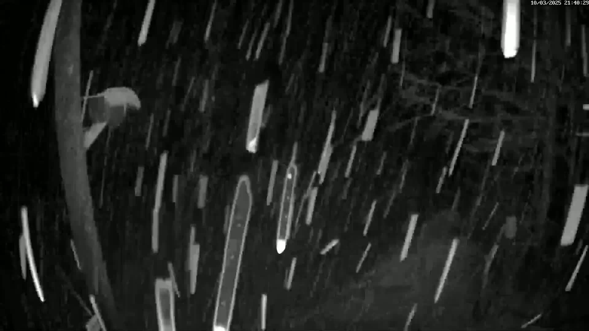 A nighttime, outdoor scene shows numerous vertical streaks of white and gray, possibly snow or rain, falling against a dark background.