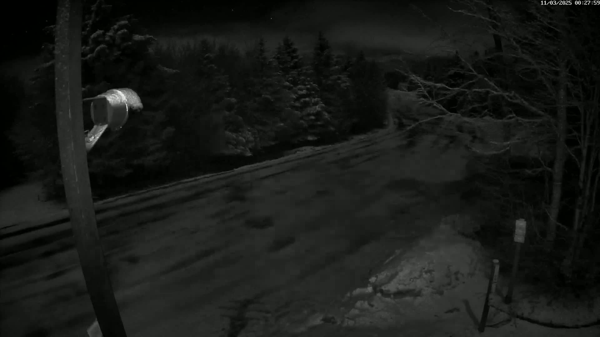 A snow-covered road winds through a dark, wooded area at night.
