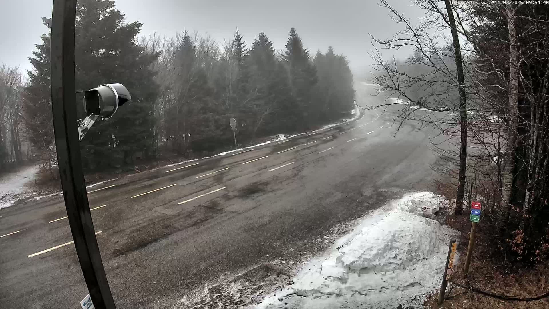 A snow-covered, winding road stretches through a foggy forest, with a security camera visible in the foreground.
