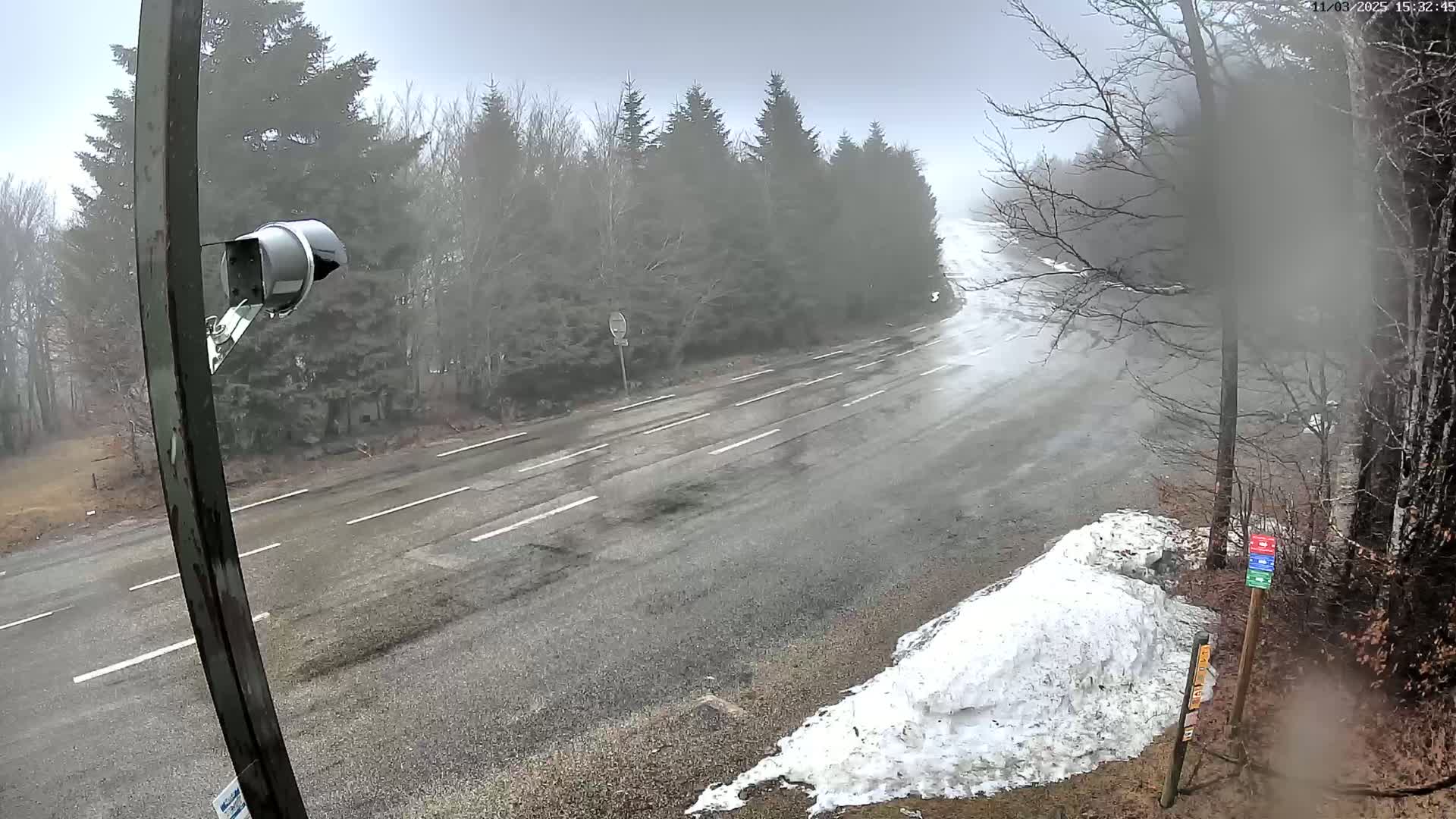 A wet, foggy road curves through a wooded area with a patch of snow visible near the roadside, a security camera mounted on a pole is also visible.