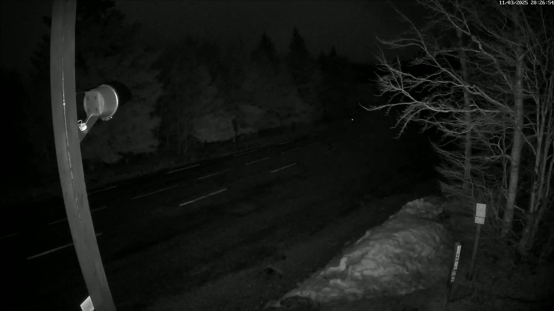 A nighttime view of a snow-covered roadside beside a dark, empty road lined with trees under a dark sky.