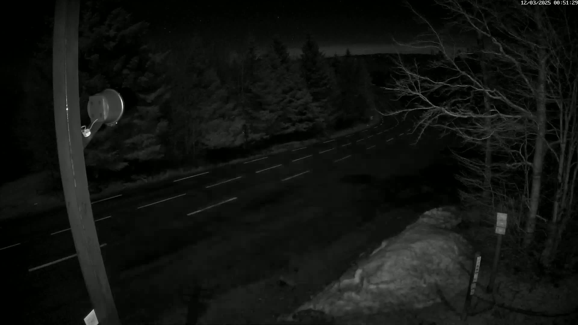 A nighttime view of a dark, empty road with white lane markings, bordered by trees and a snowdrift, under a clear, starry sky.