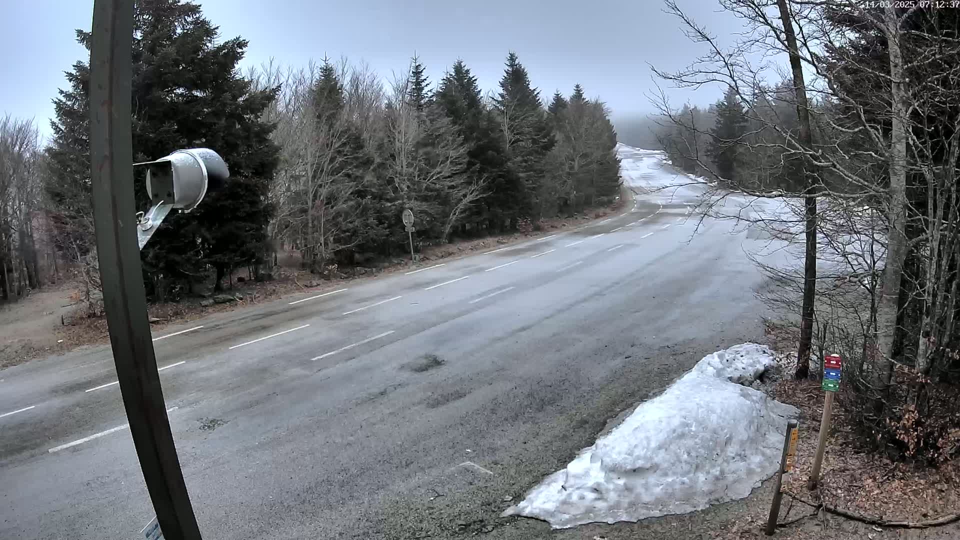 A mostly empty, wet road curves through a forest on an overcast day, with a small pile of snow visible near the roadside.