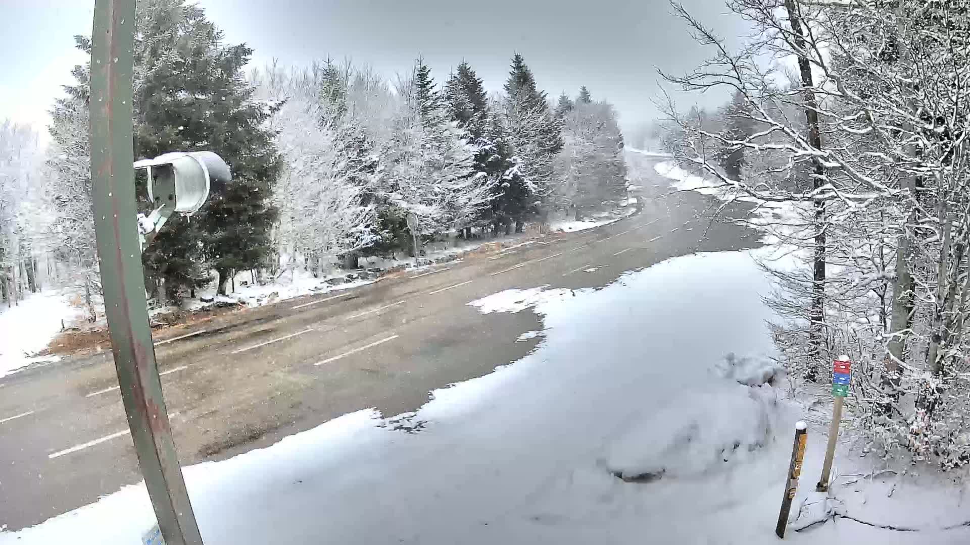 A snow-covered road winds through a snow-dusted forest during a light snowfall.