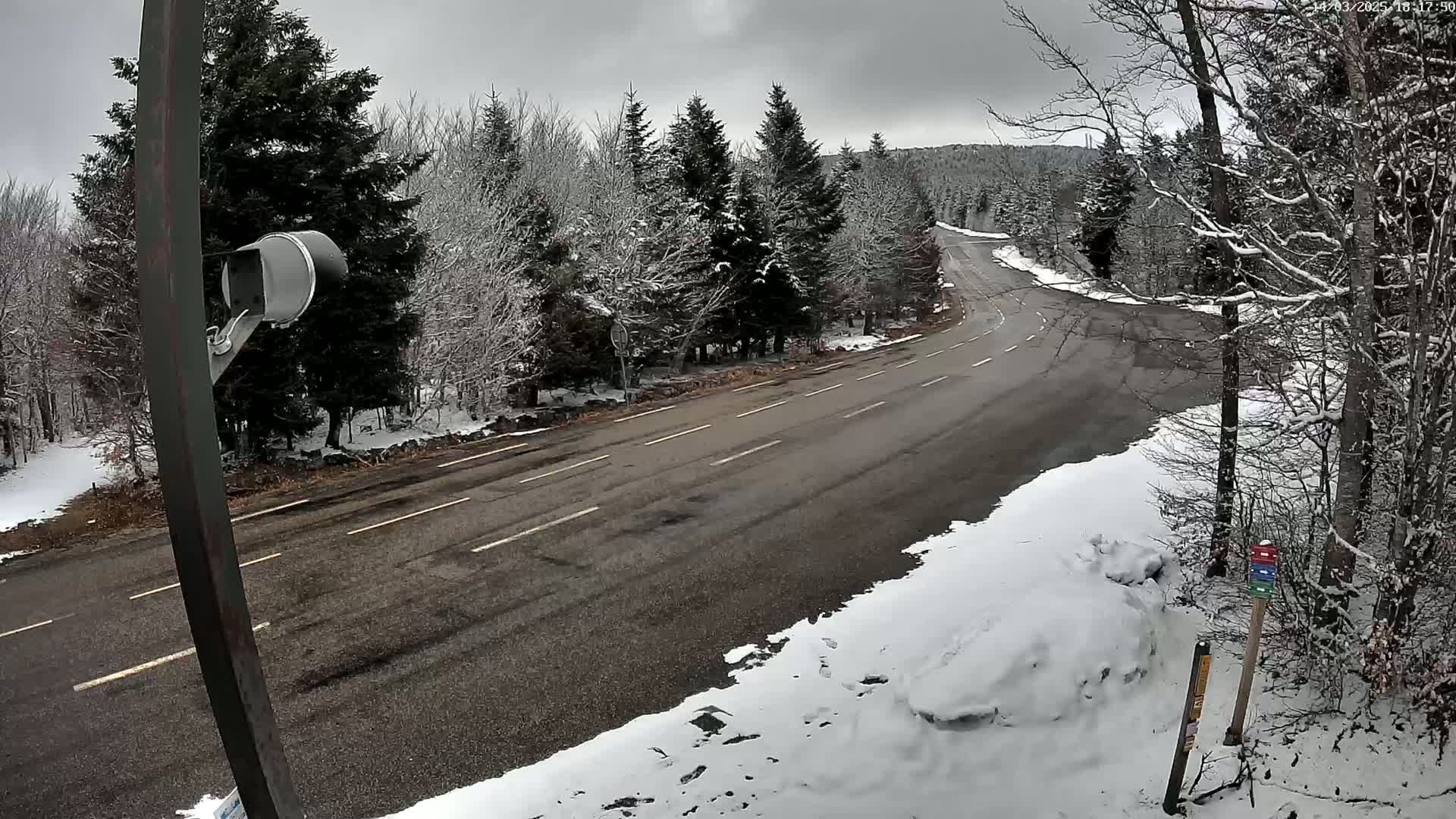 A snow-covered road curves through a wintry forest, with a security camera visible on a pole to the left.