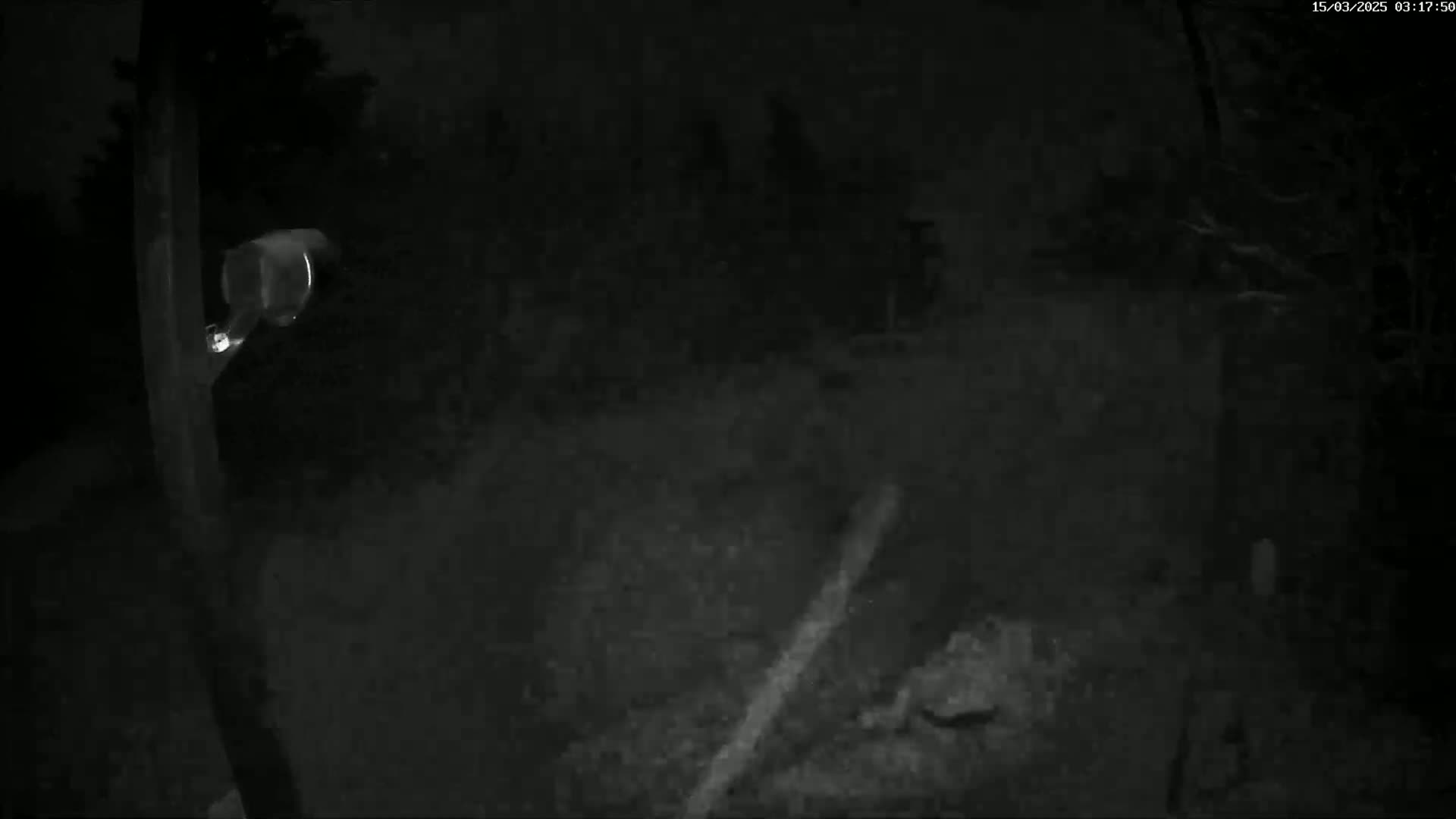 A nighttime, low-light image shows a dark outdoor scene with a security camera mounted on a post.