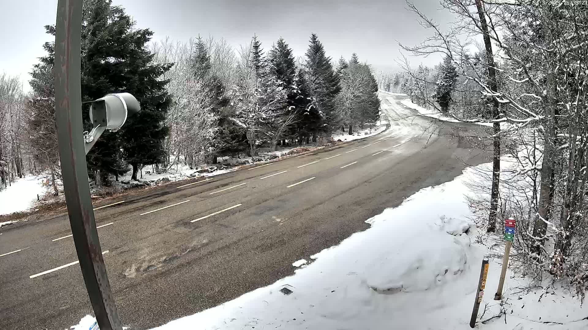 A snow-covered road curves through a wintry forest, with a security camera mounted on a pole beside it.