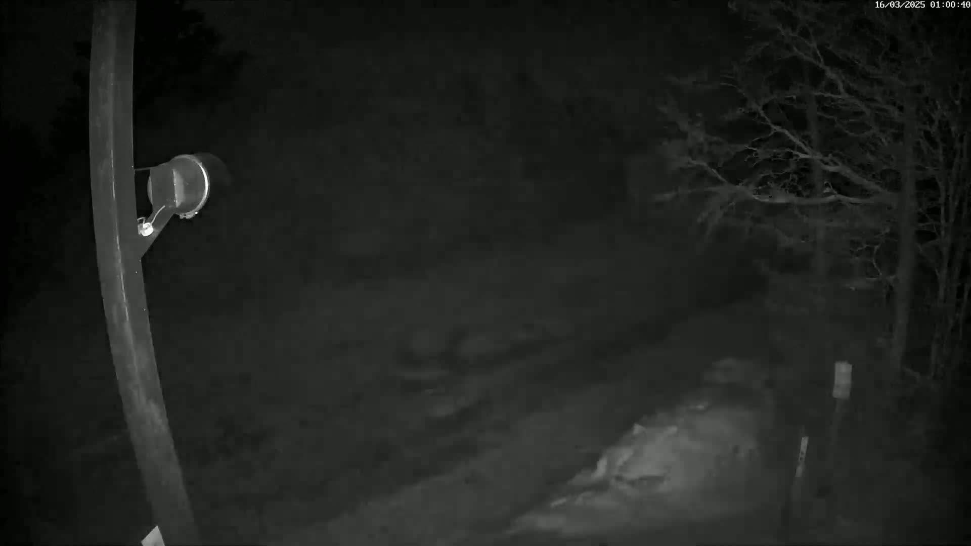 A nighttime, low-light image shows a dark, possibly snowy ground with bare trees in the background, a pole with a device attached, and an indistinct object in the foreground.