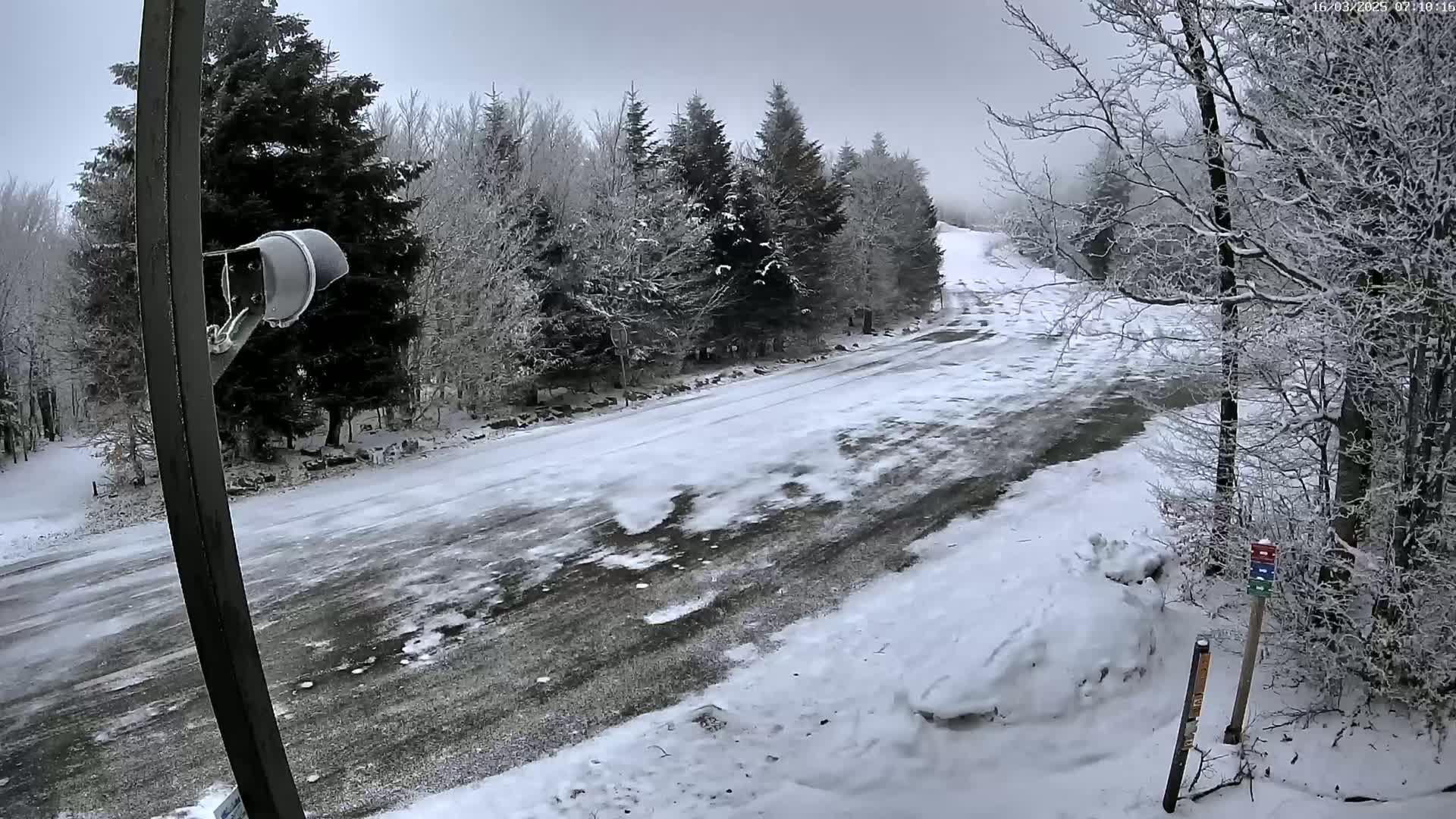 A snow-covered road winds through a wintry forest under a cloudy sky.