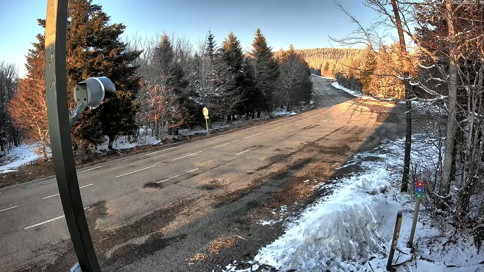 A paved road winds through a snow-dusted forest under a clear, sunny sky.