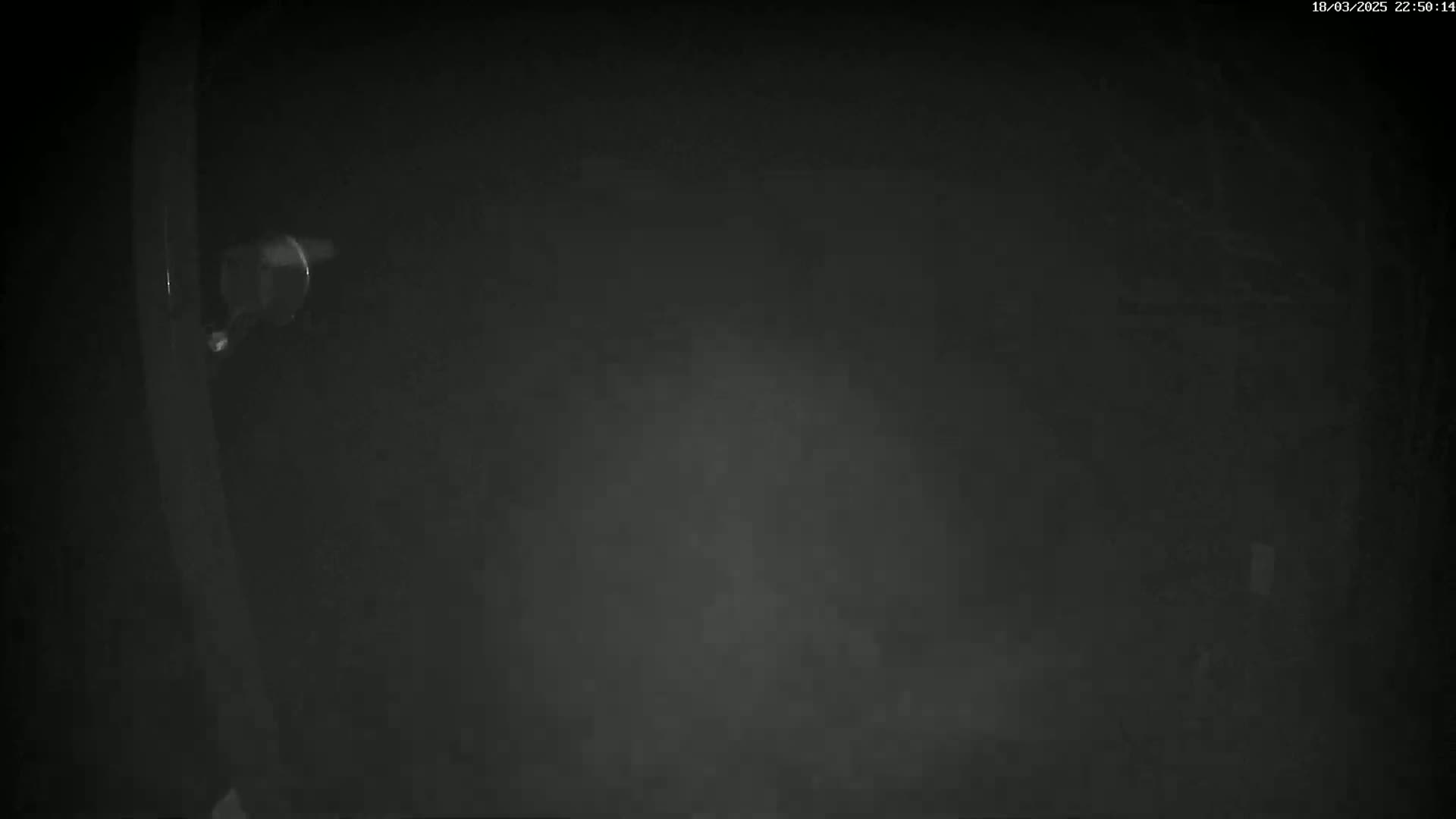 A dimly lit, dark scene at night is shown, with a security light visible in the upper left corner.