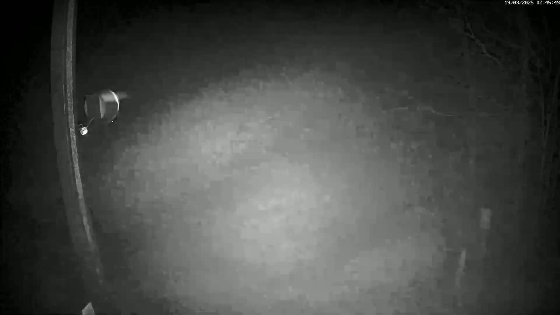 A security camera at night shows a blurry, foggy or snowy scene.