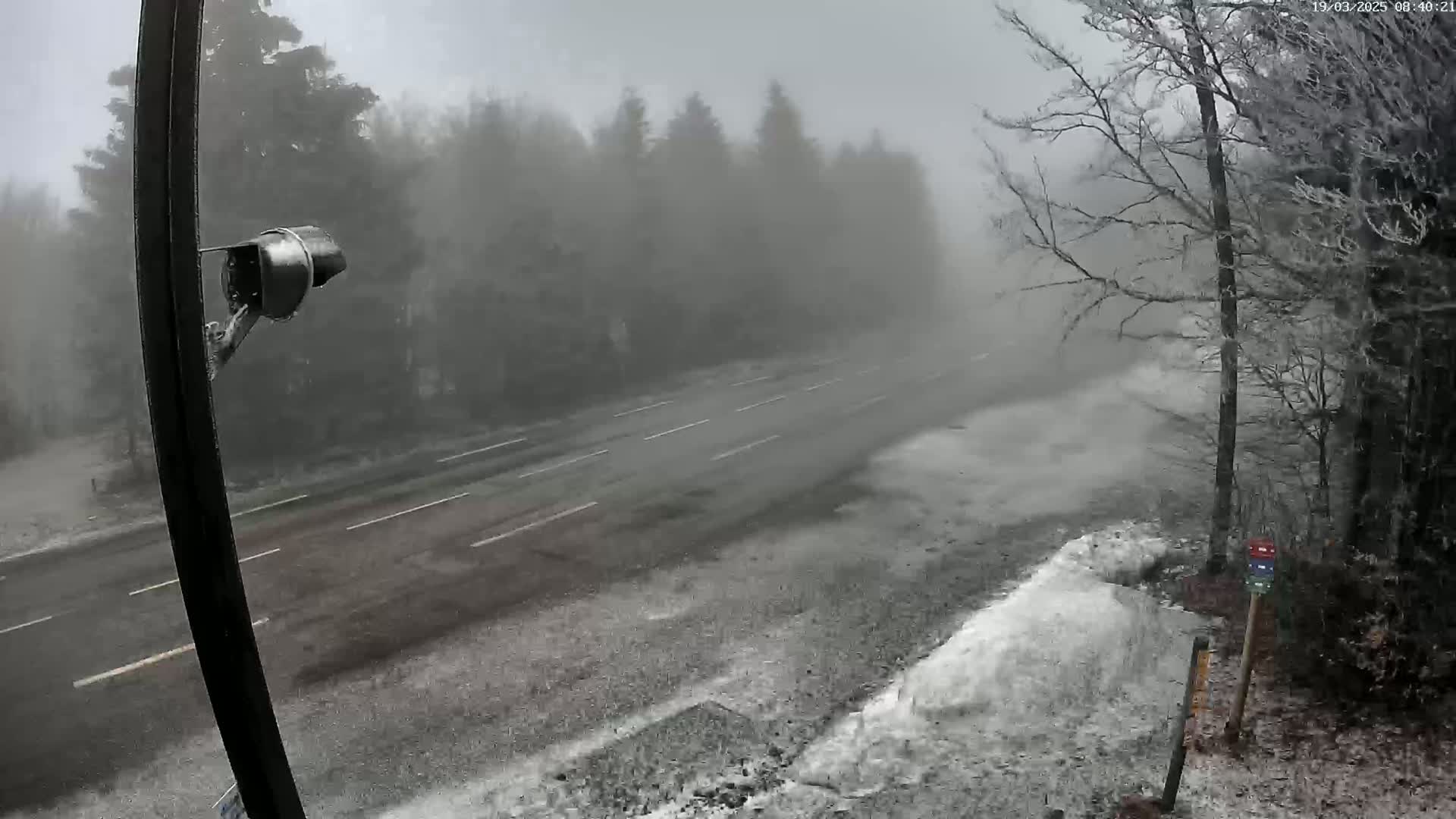 A snow-covered, multi-lane road winds through a foggy forest.