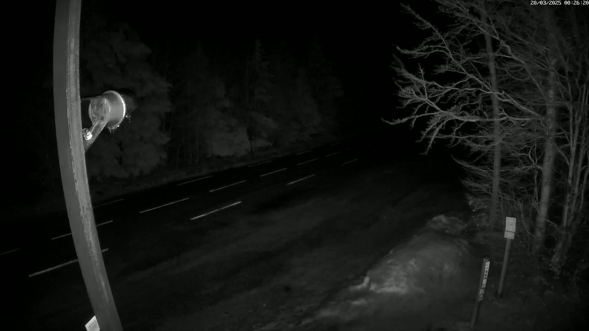 A nighttime, low-light view of a dark, empty two-lane road bordered by leafless trees and a small snowdrift, with a pole and camera visible in the foreground.
